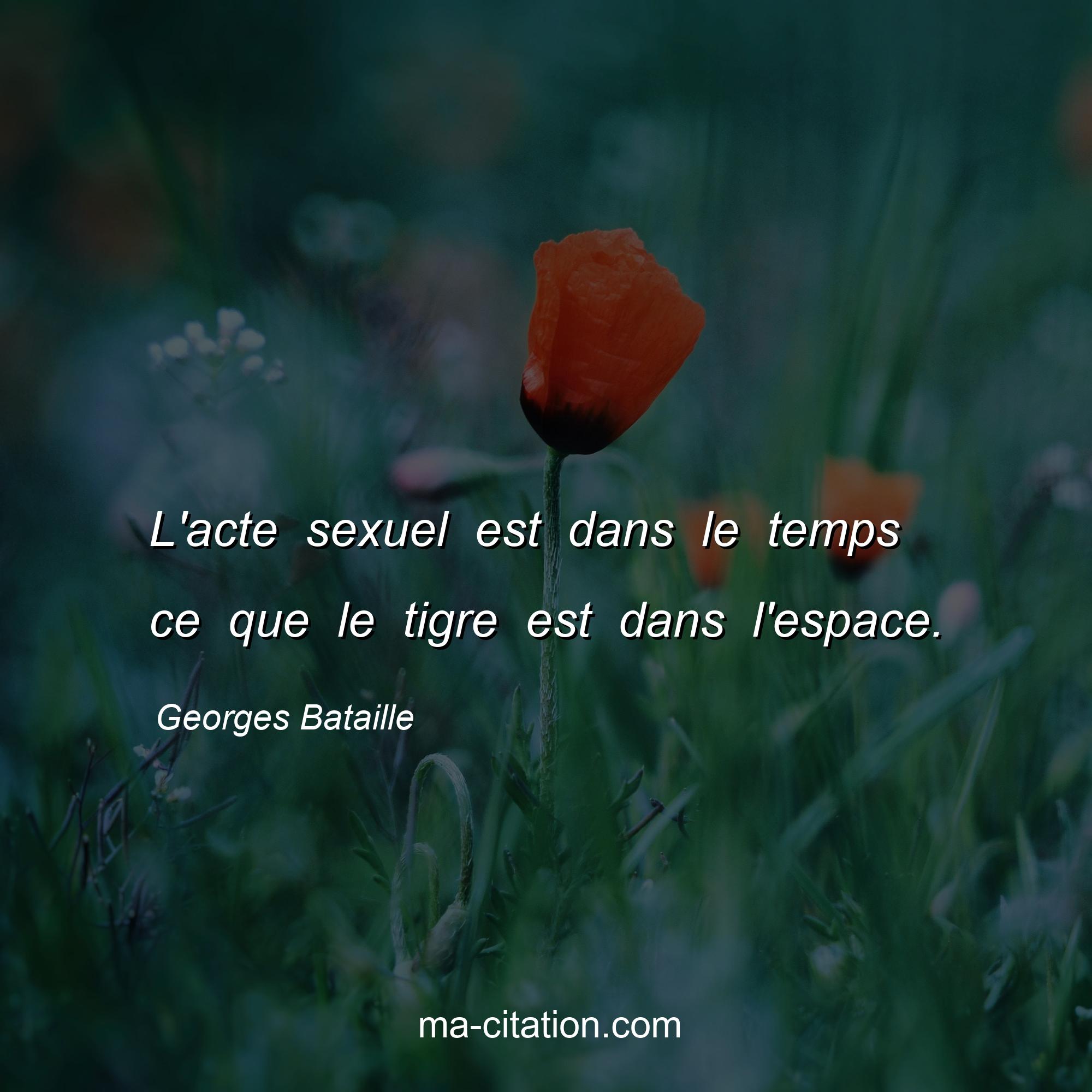 Georges Bataille : L'acte sexuel est dans le temps ce que le tigre est dans l'espace.