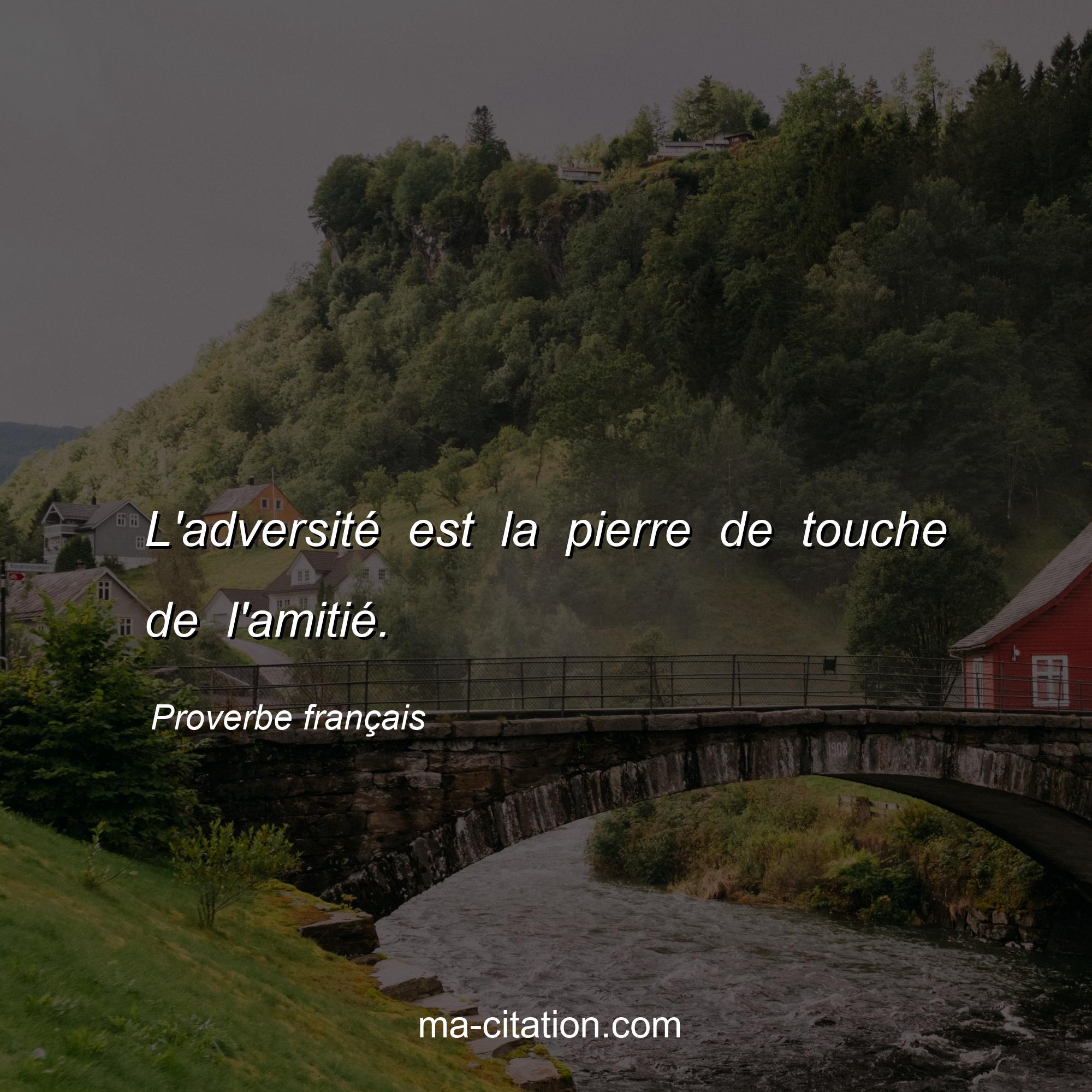 Proverbe français : L'adversité est la pierre de touche de l'amitié.