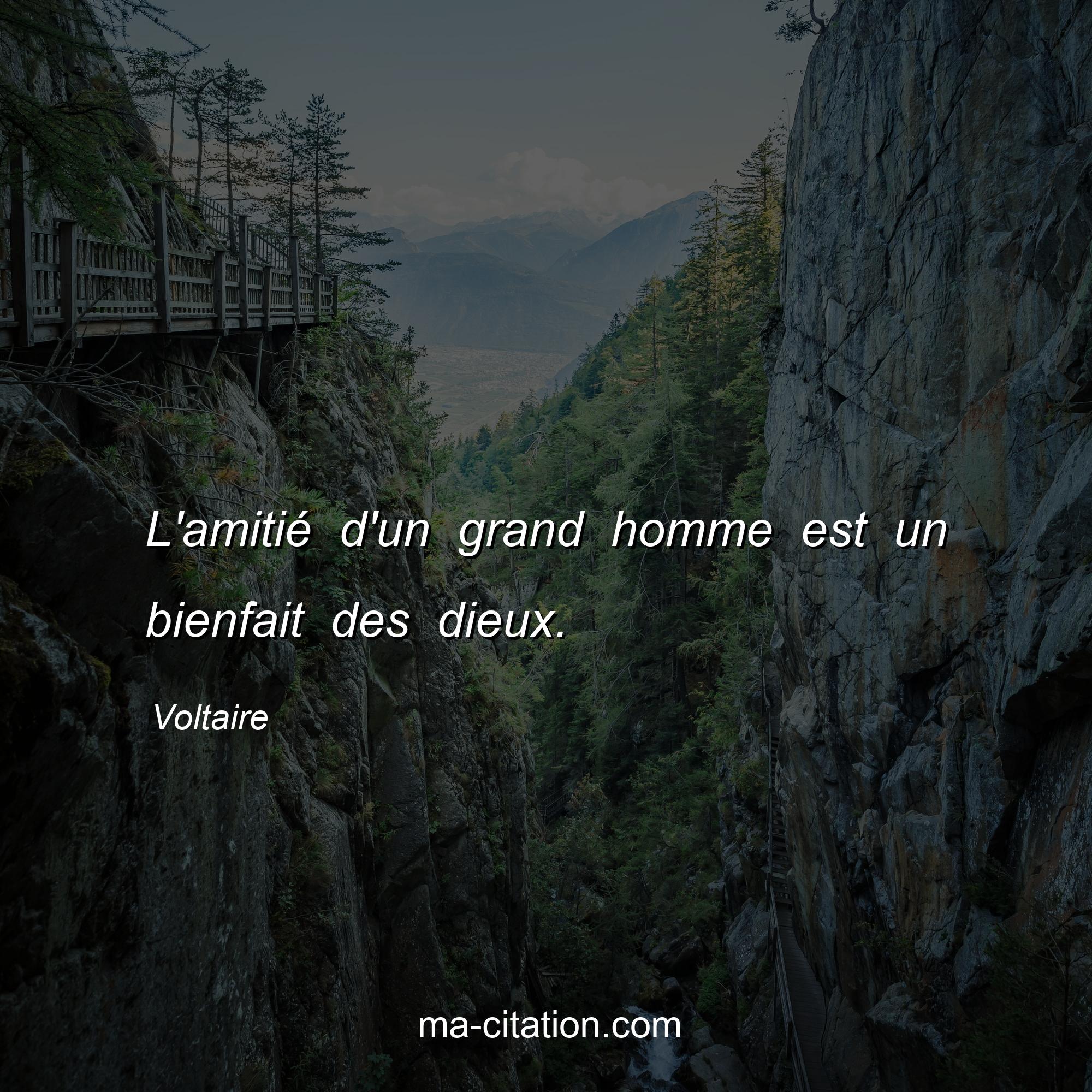 Voltaire : L'amitié d'un grand homme est un bienfait des dieux.