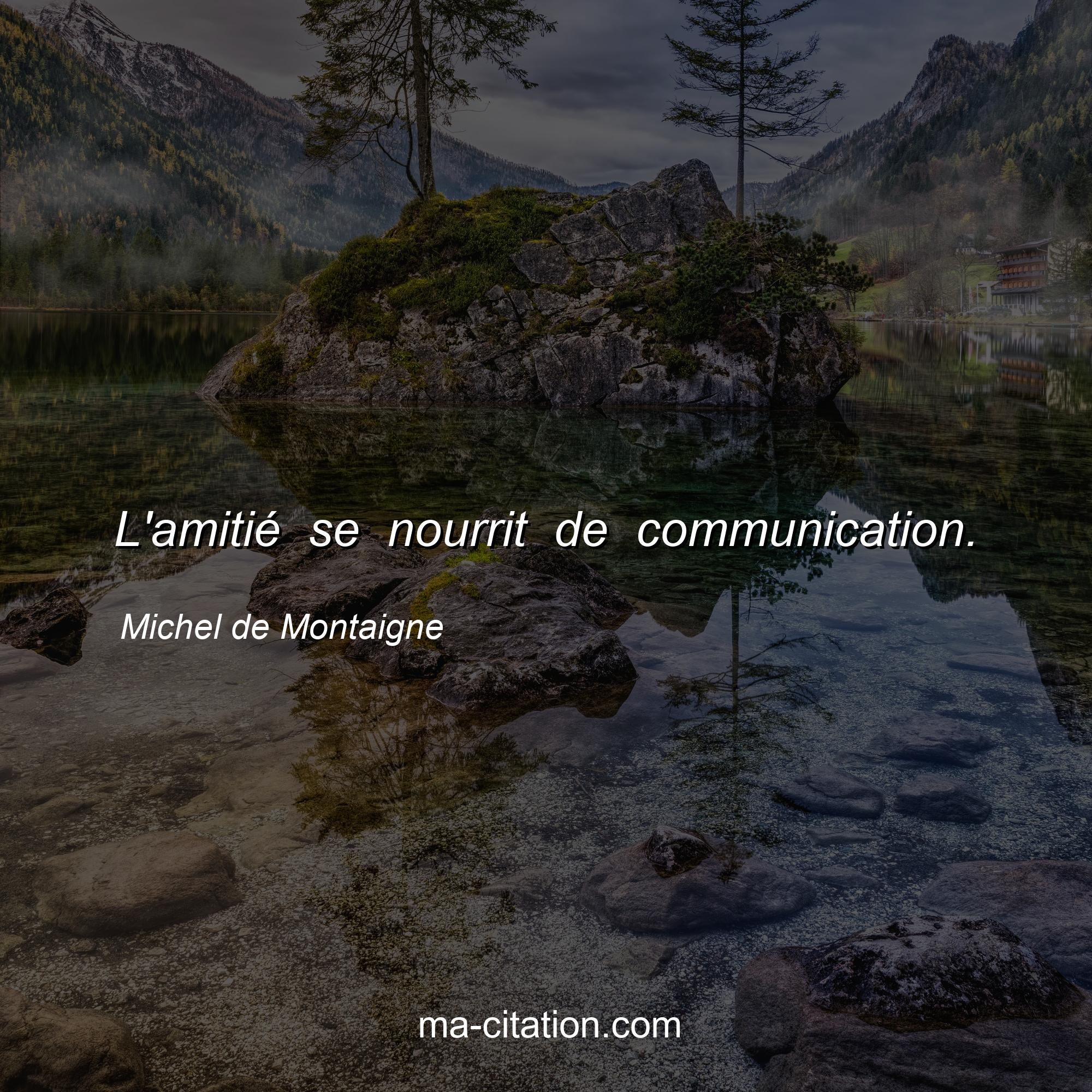 Michel de Montaigne : L'amitié se nourrit de communication.