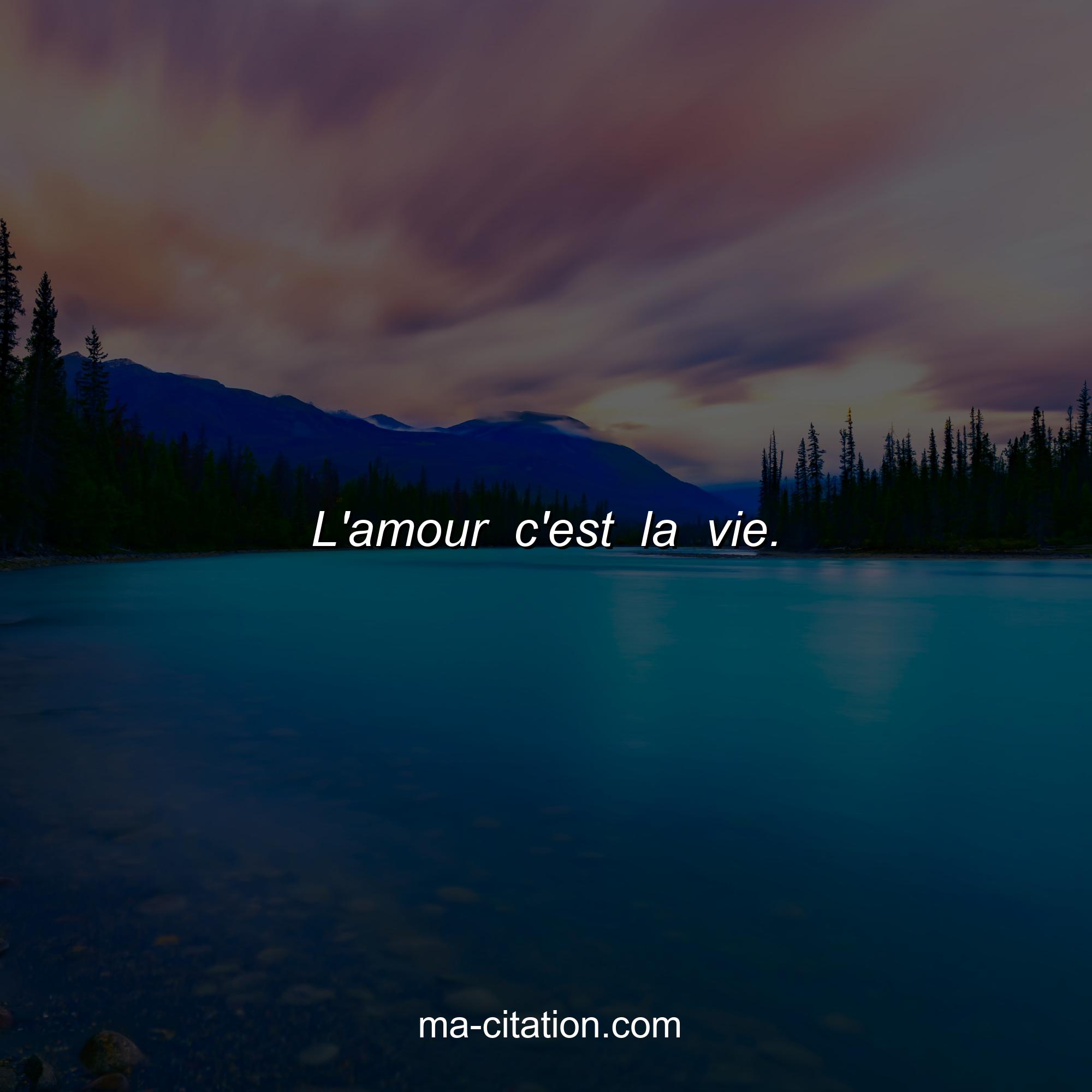Ma-Citation.com : L'amour c'est la vie.