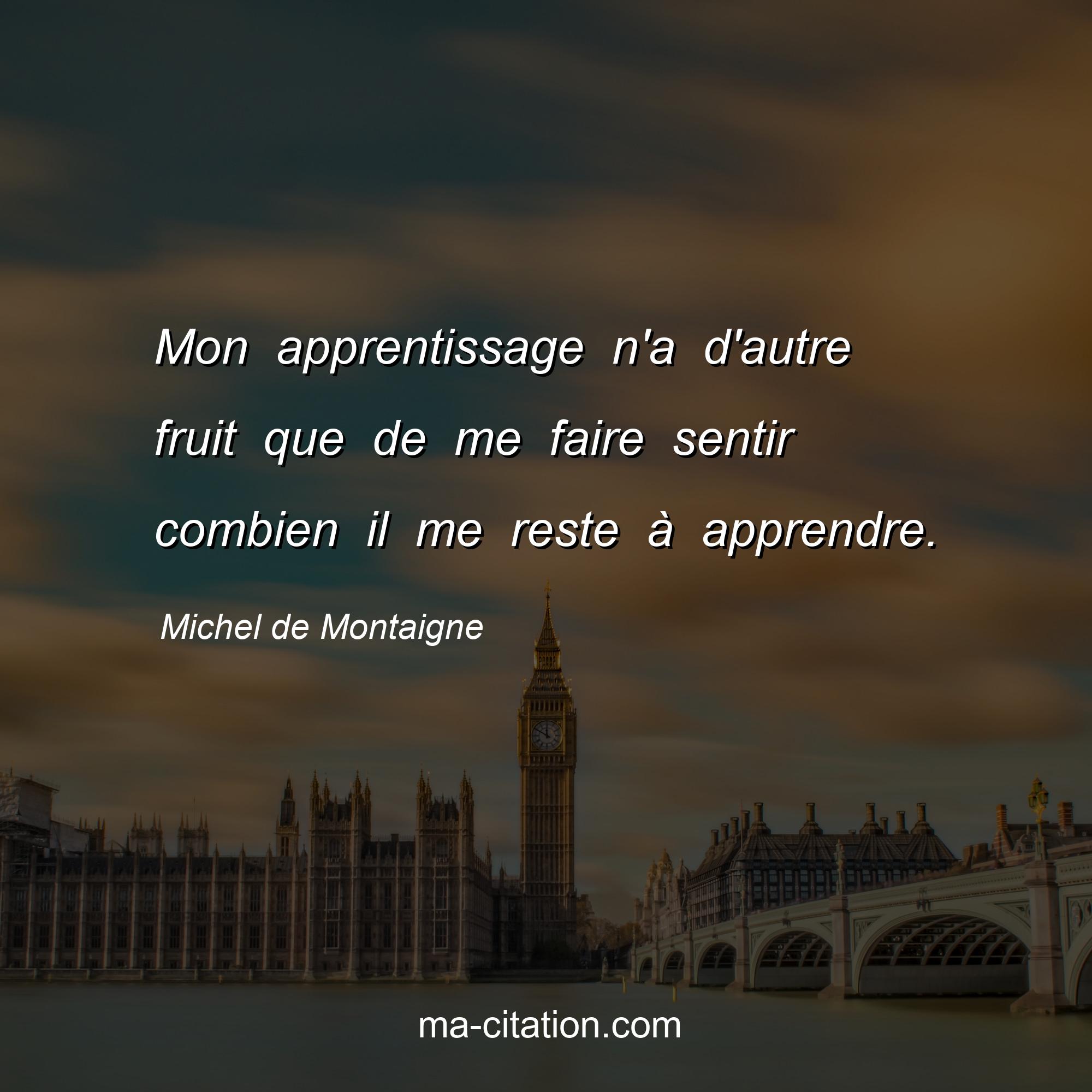 Michel de Montaigne : Mon apprentissage n'a d'autre fruit que de me faire sentir combien il me reste à apprendre.