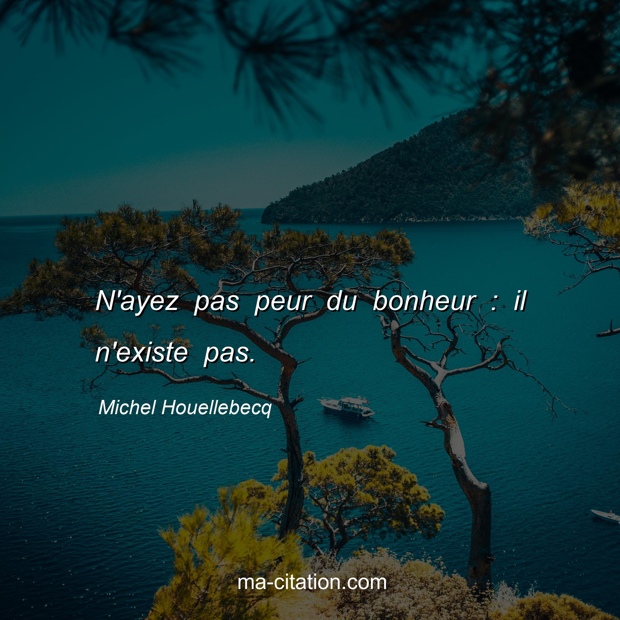 Michel Houellebecq : N'ayez pas peur du bonheur : il n'existe pas.