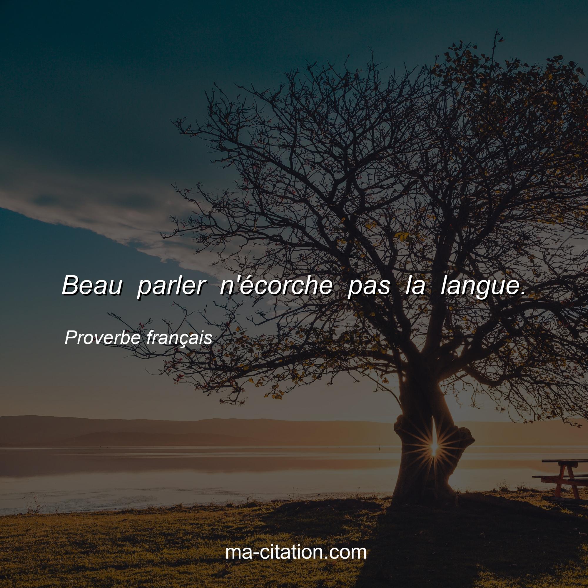 Proverbe français : Beau parler n'écorche pas la langue.
