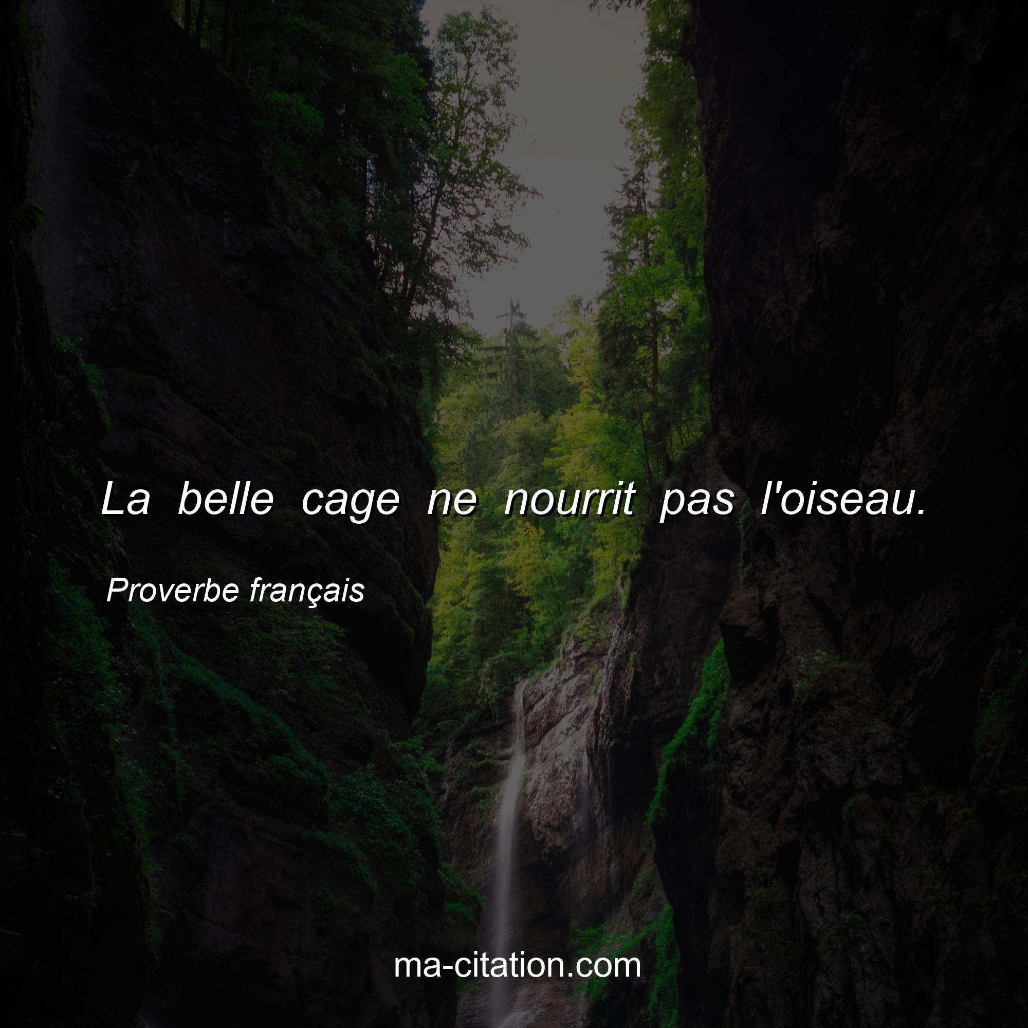 Proverbe français : La belle cage ne nourrit pas l'oiseau.