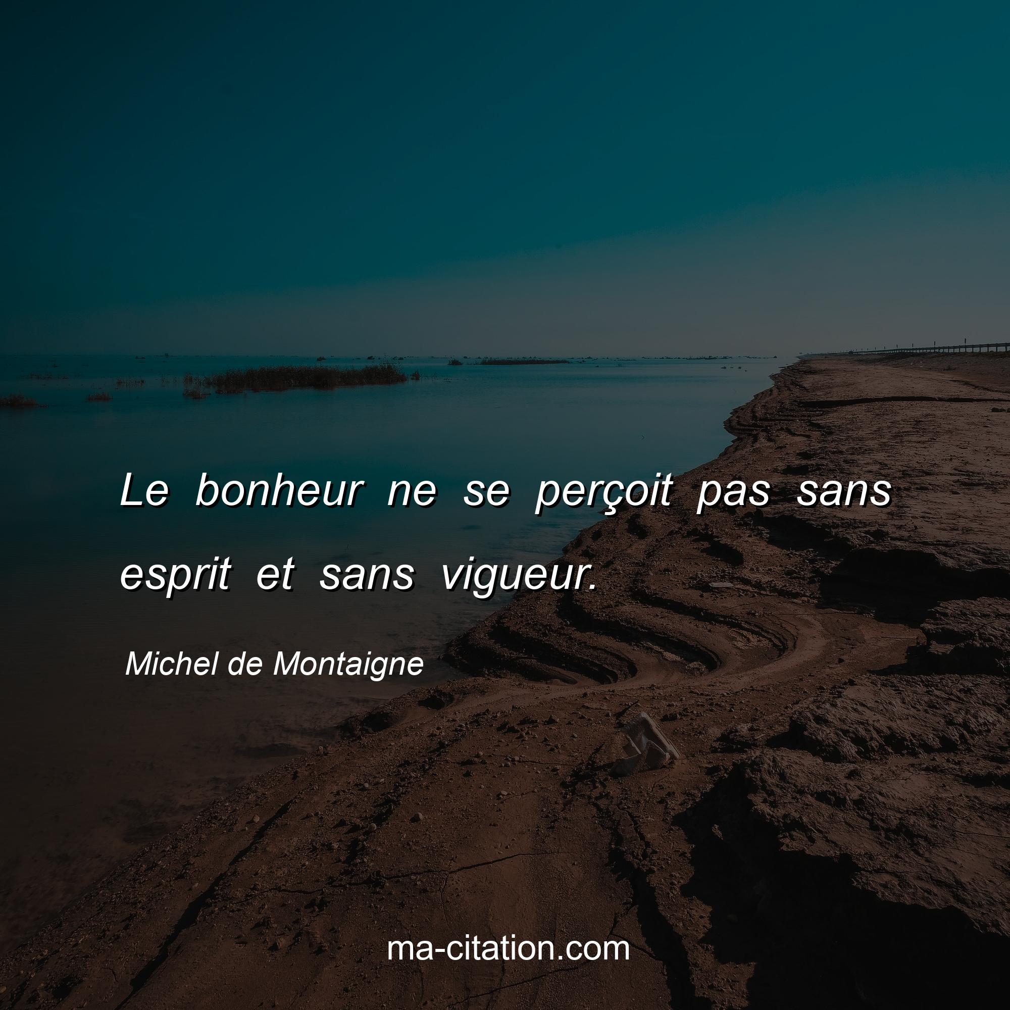 Michel de Montaigne : Le bonheur ne se perçoit pas sans esprit et sans vigueur.