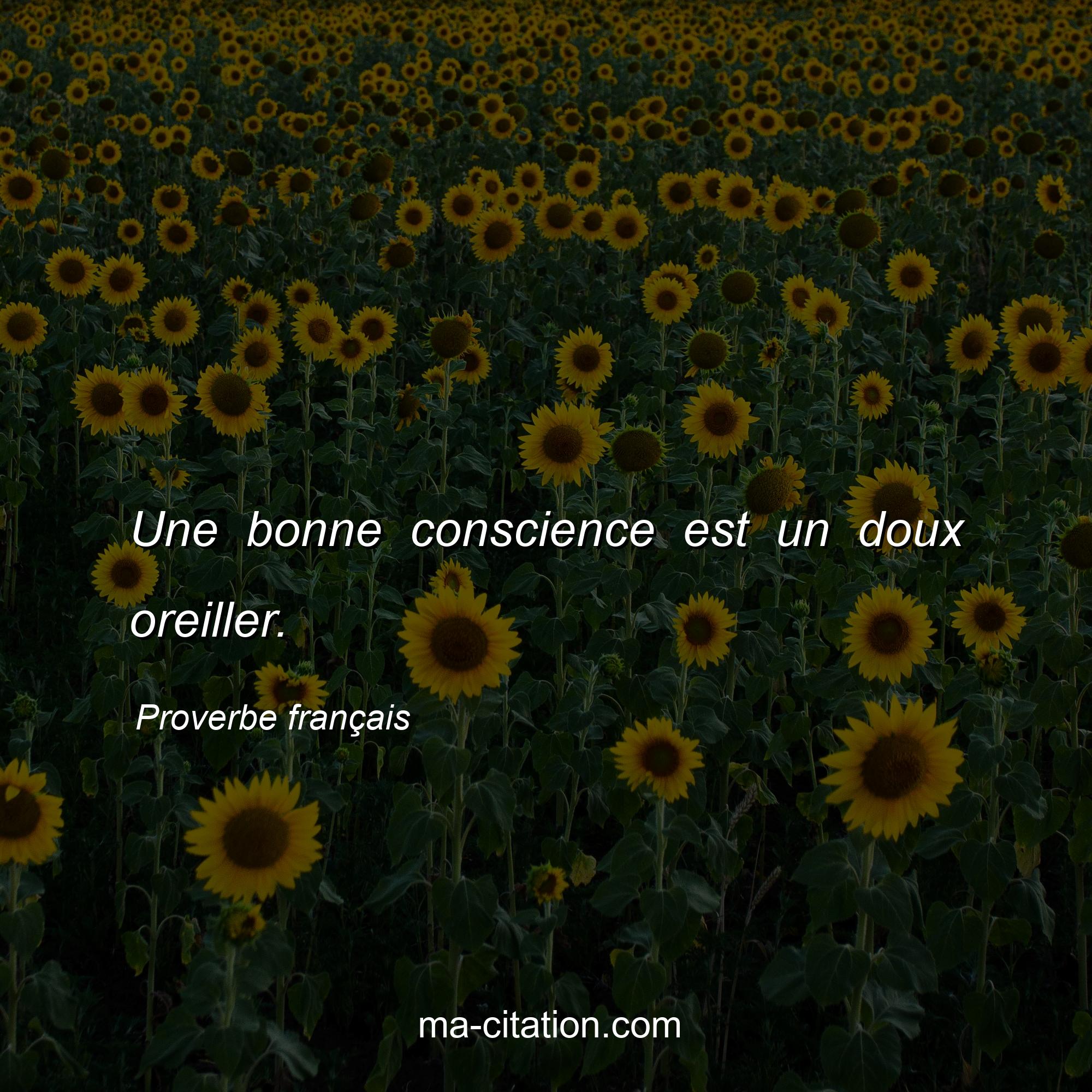 Proverbe français : Une bonne conscience est un doux oreiller.