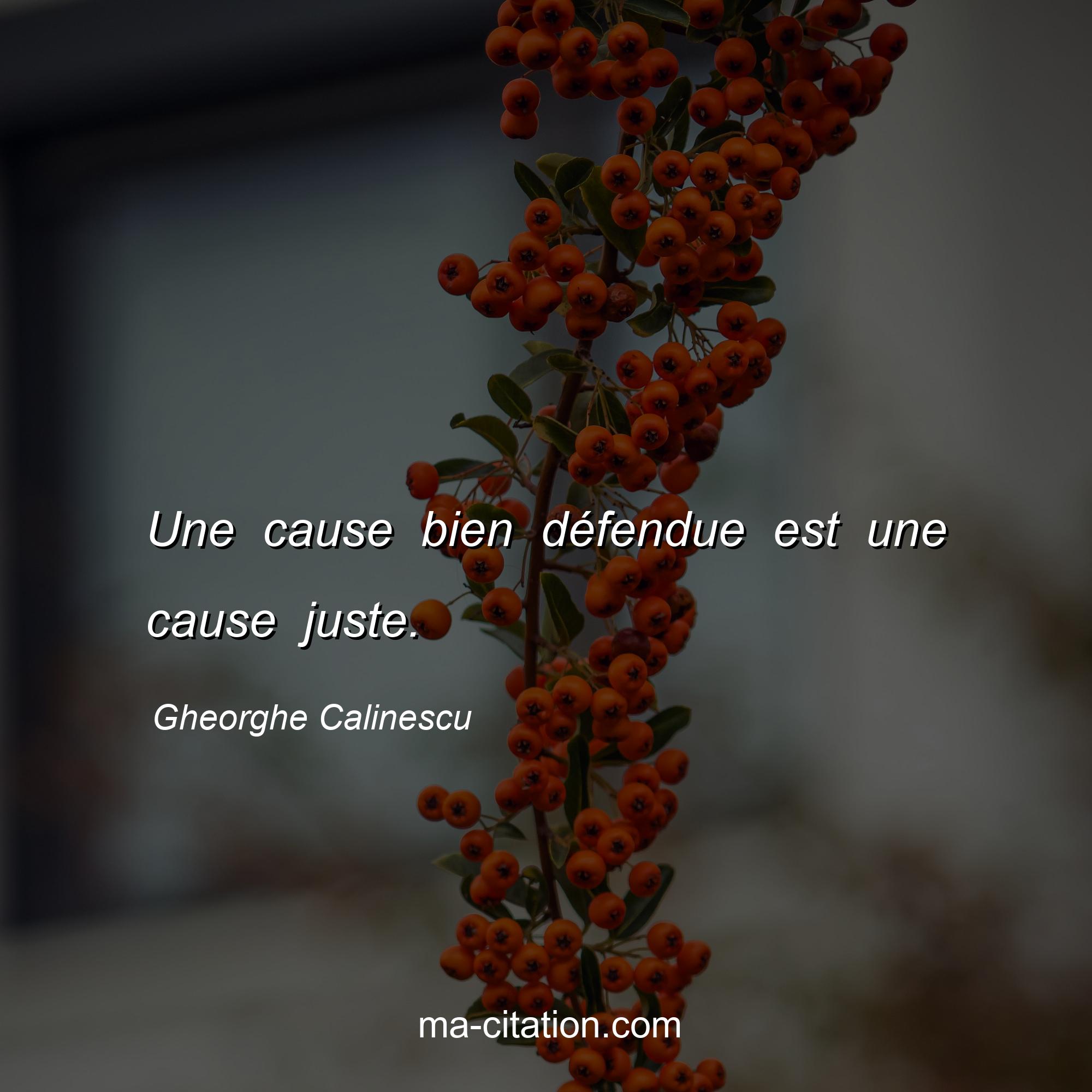 Gheorghe Calinescu : Une cause bien défendue est une cause juste.