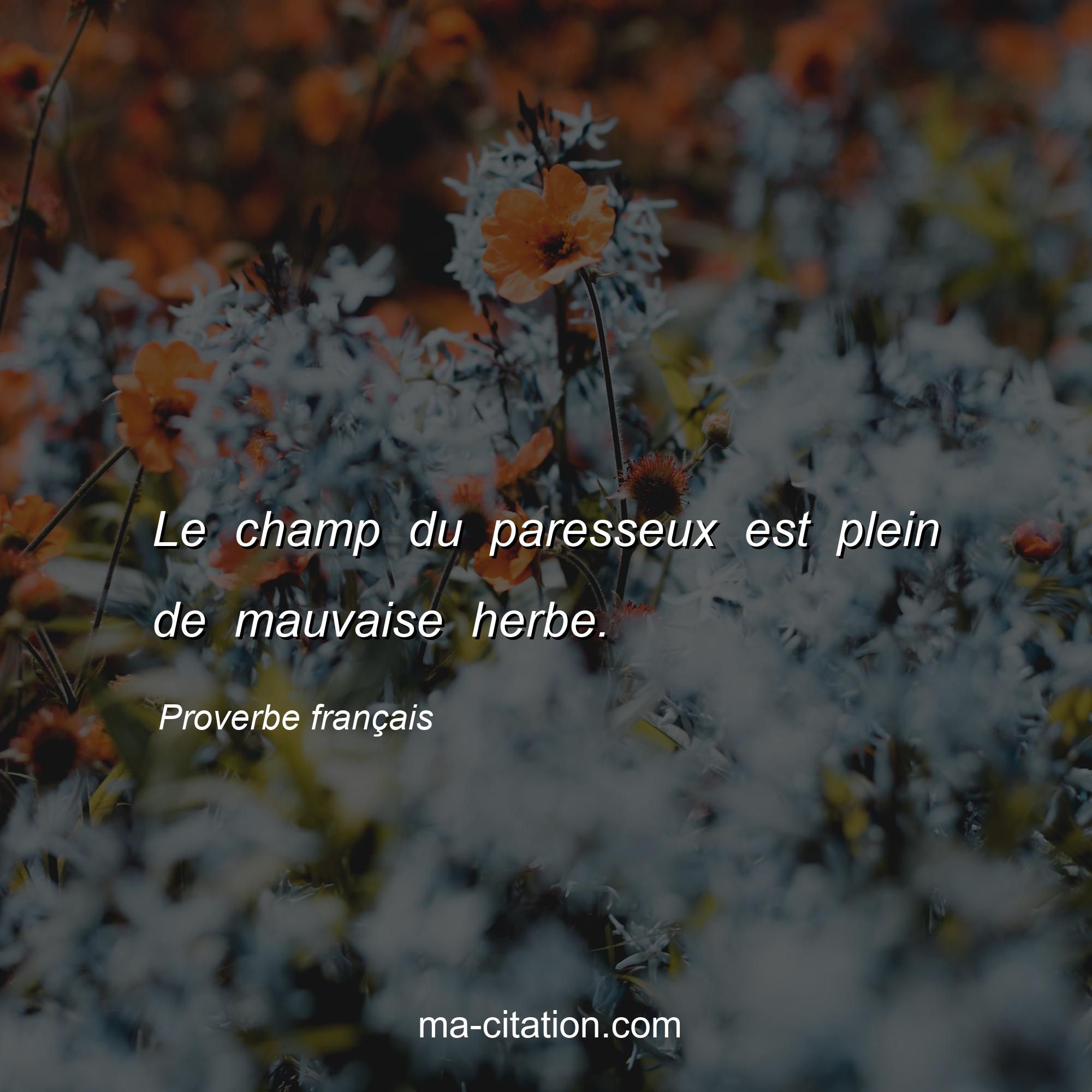Proverbe français : Le champ du paresseux est plein de mauvaise herbe.