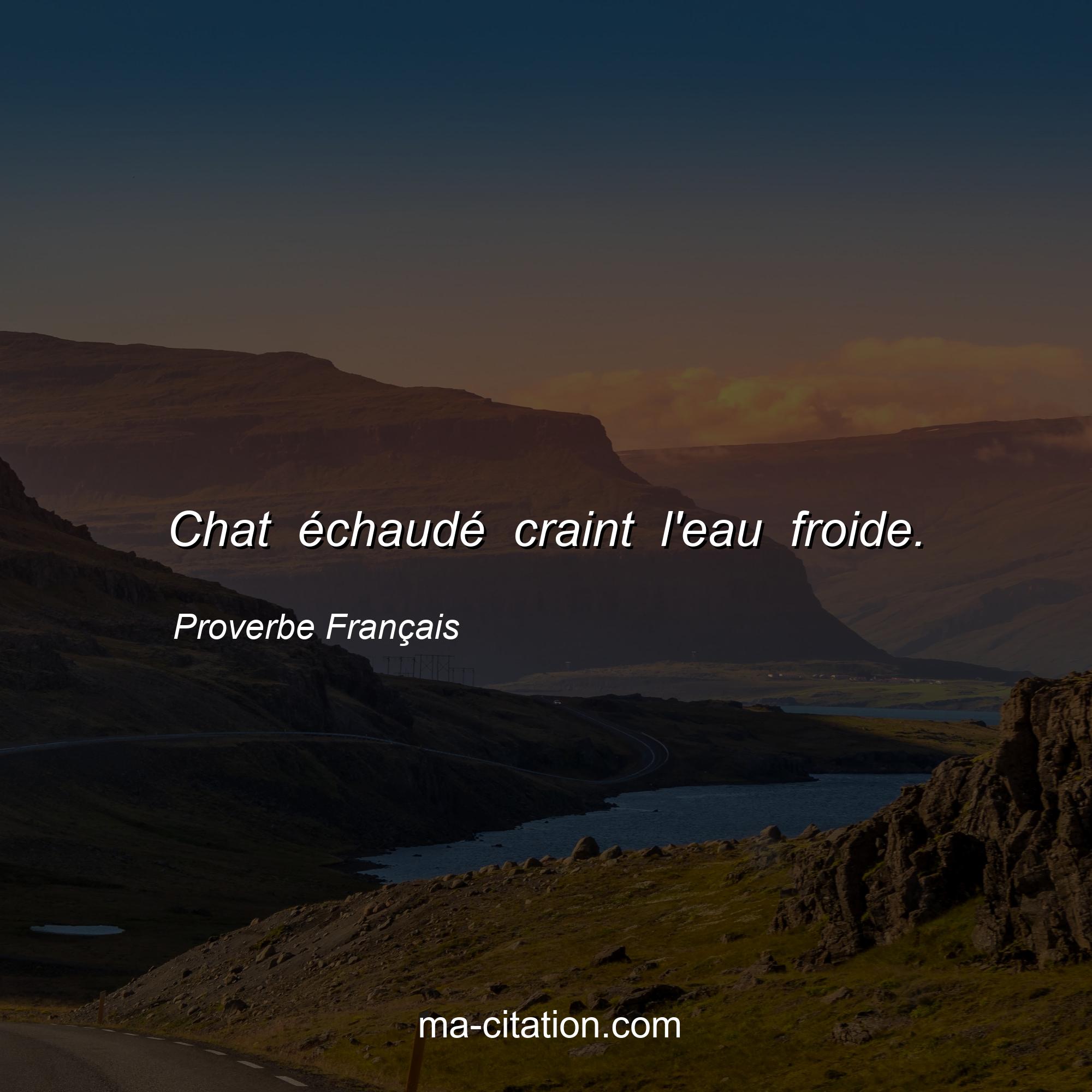 Proverbe Français : Chat échaudé craint l'eau froide.