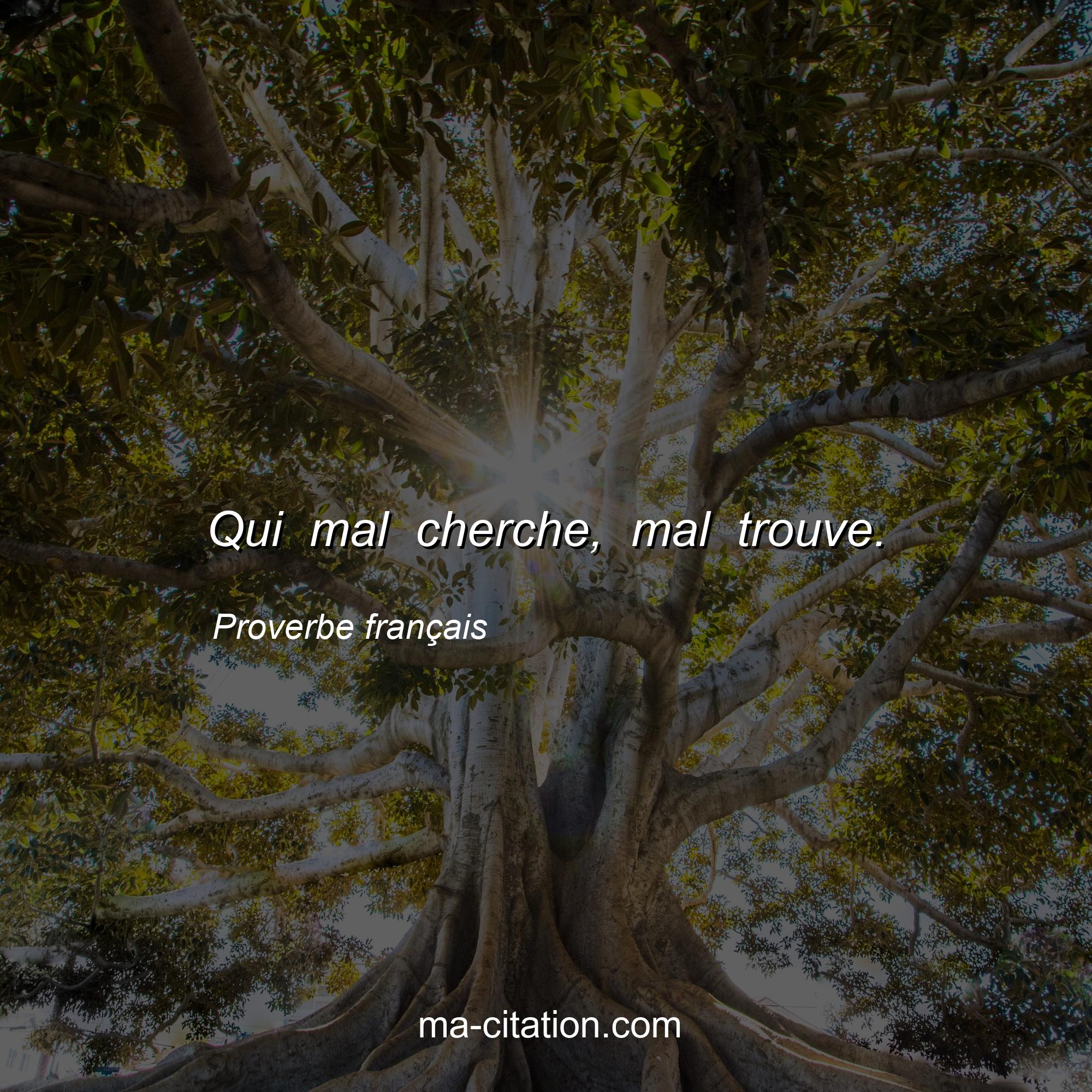 Proverbe français : Qui mal cherche, mal trouve.