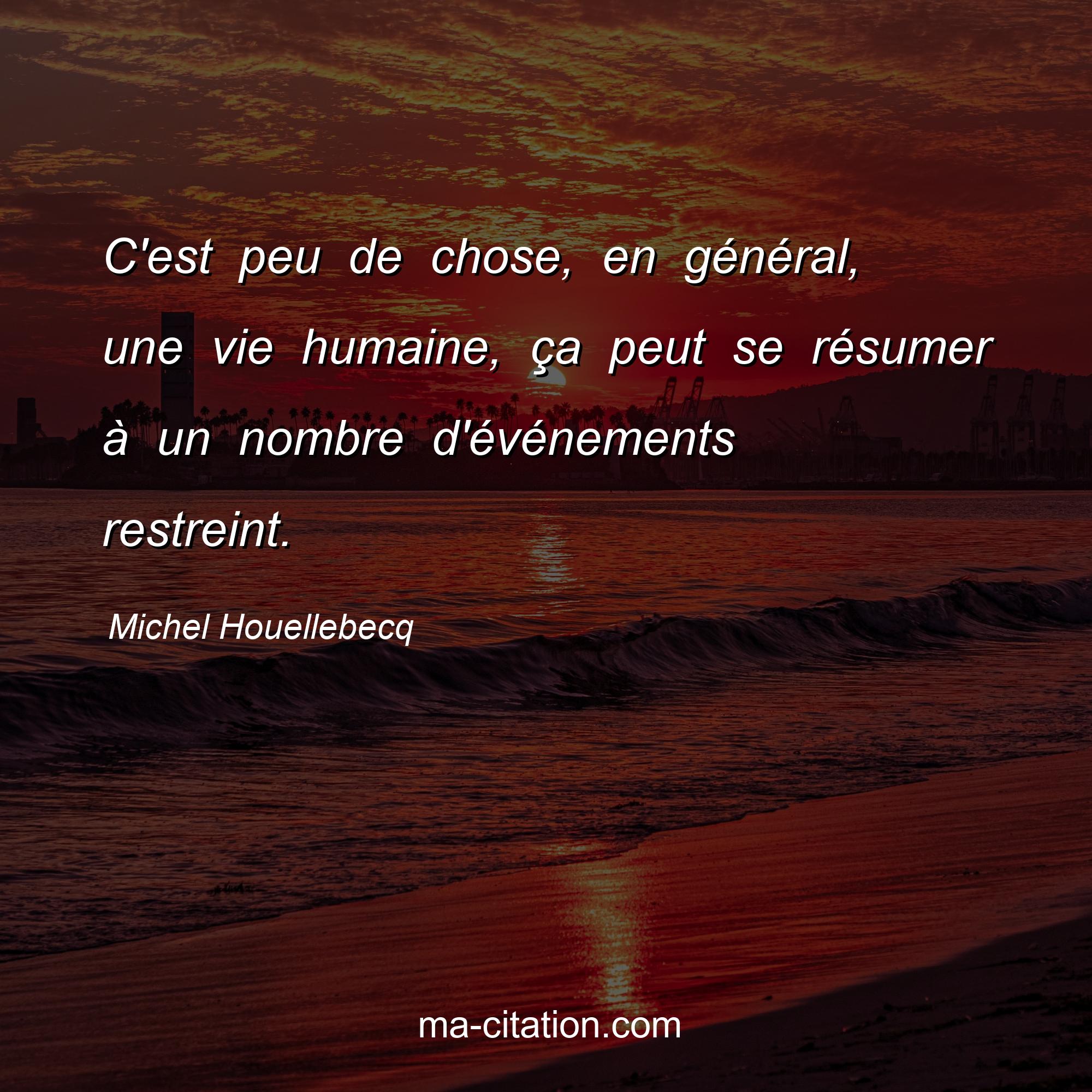 Michel Houellebecq : C'est peu de chose, en général, une vie humaine, ça peut se résumer à un nombre d'événements restreint.