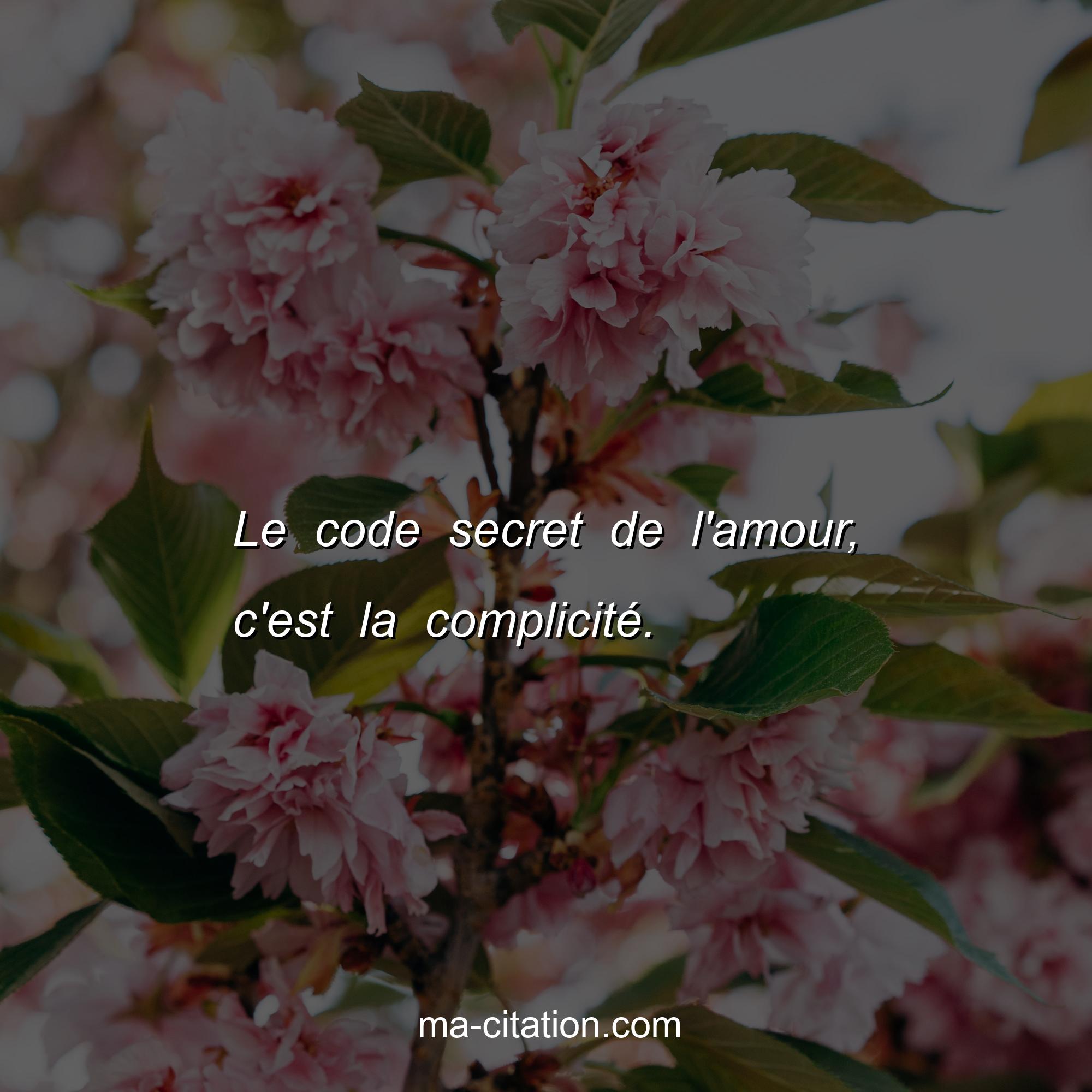Ma-Citation.com : Le code secret de l'amour, c'est la complicité.