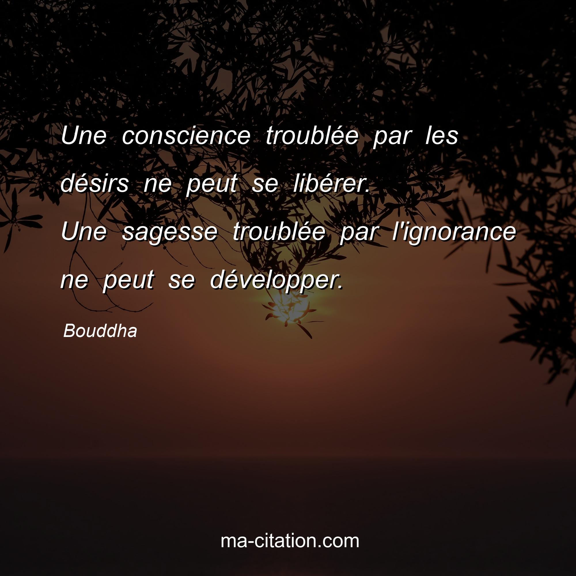 Bouddha : Une conscience troublée par les désirs ne peut se libérer. Une sagesse troublée par l'ignorance ne peut se développer.