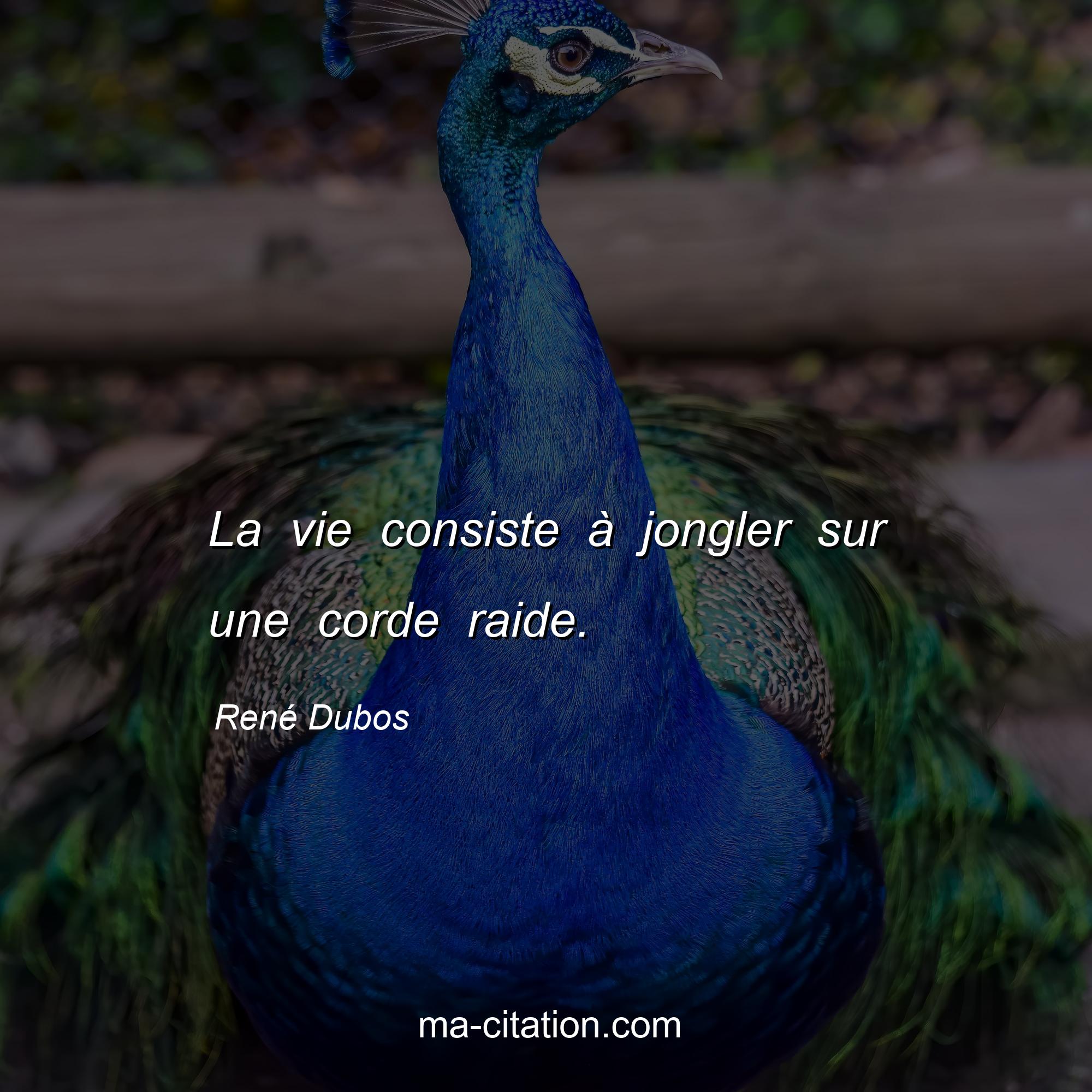 René Dubos : La vie consiste à jongler sur une corde raide.