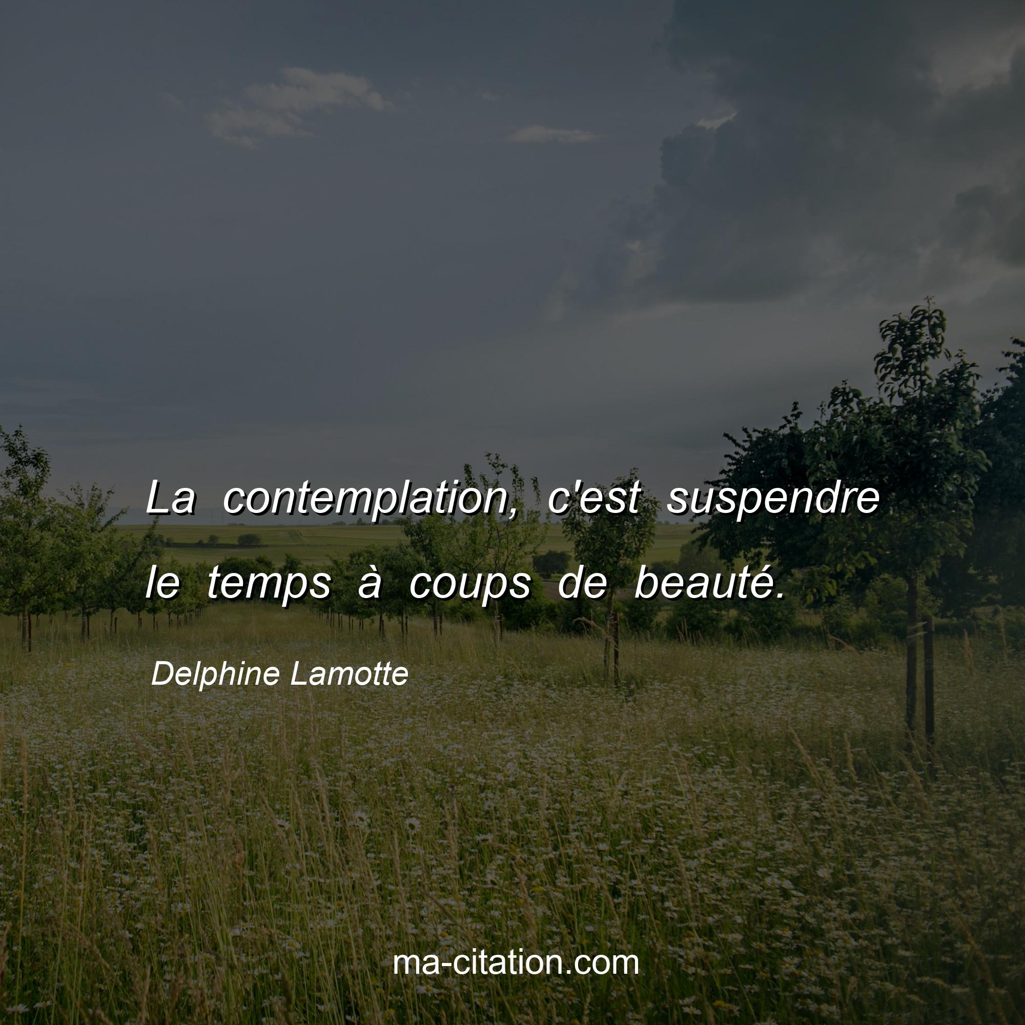 Delphine Lamotte : La contemplation, c'est suspendre le temps à coups de beauté.