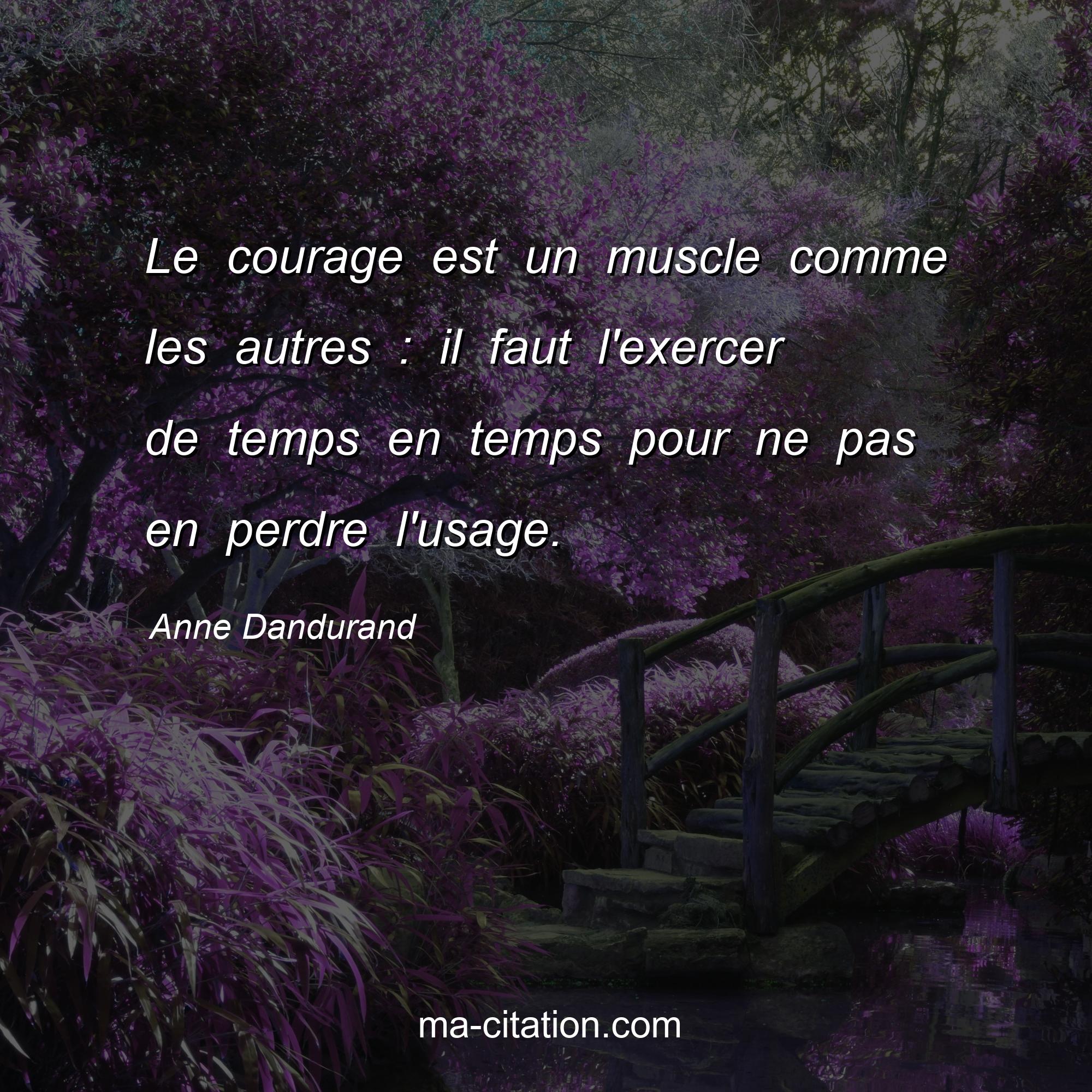Anne Dandurand : Le courage est un muscle comme les autres : il faut l'exercer de temps en temps pour ne pas en perdre l'usage.