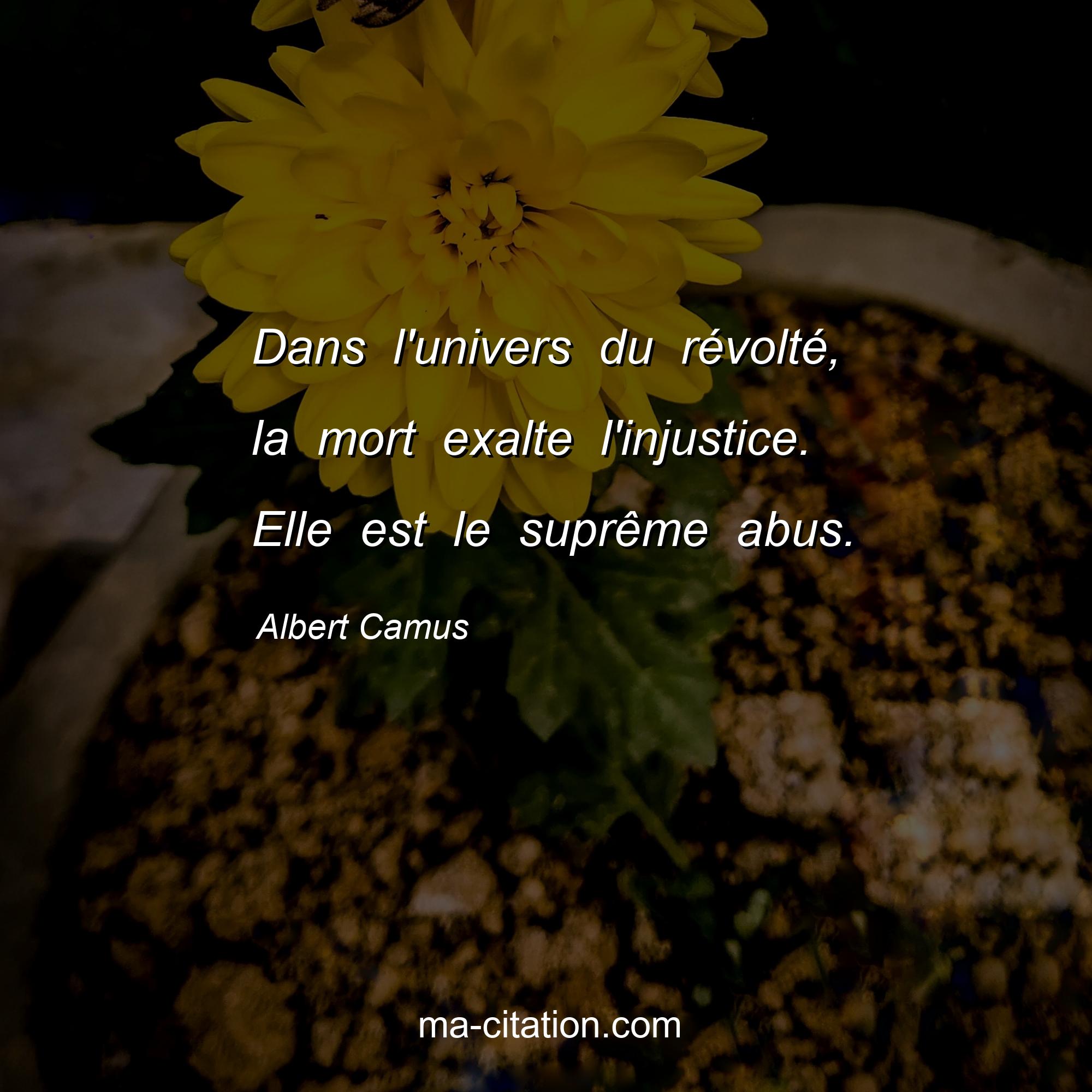 Albert Camus : Dans l'univers du révolté, la mort exalte l'injustice. Elle est le suprême abus.