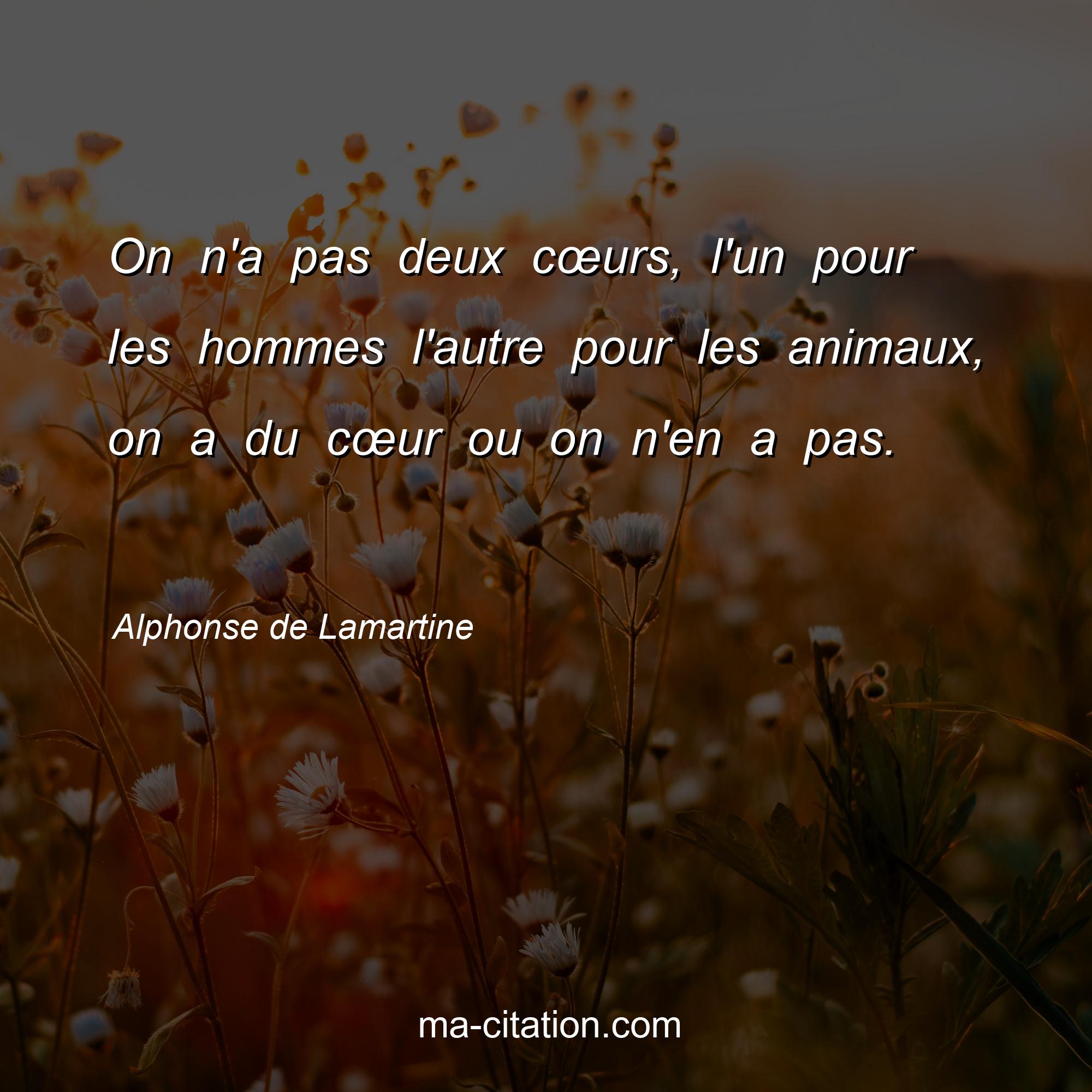 Alphonse de Lamartine : On n'a pas deux cœurs, l'un pour les hommes l'autre pour les animaux, on a du cœur ou on n'en a pas. 
