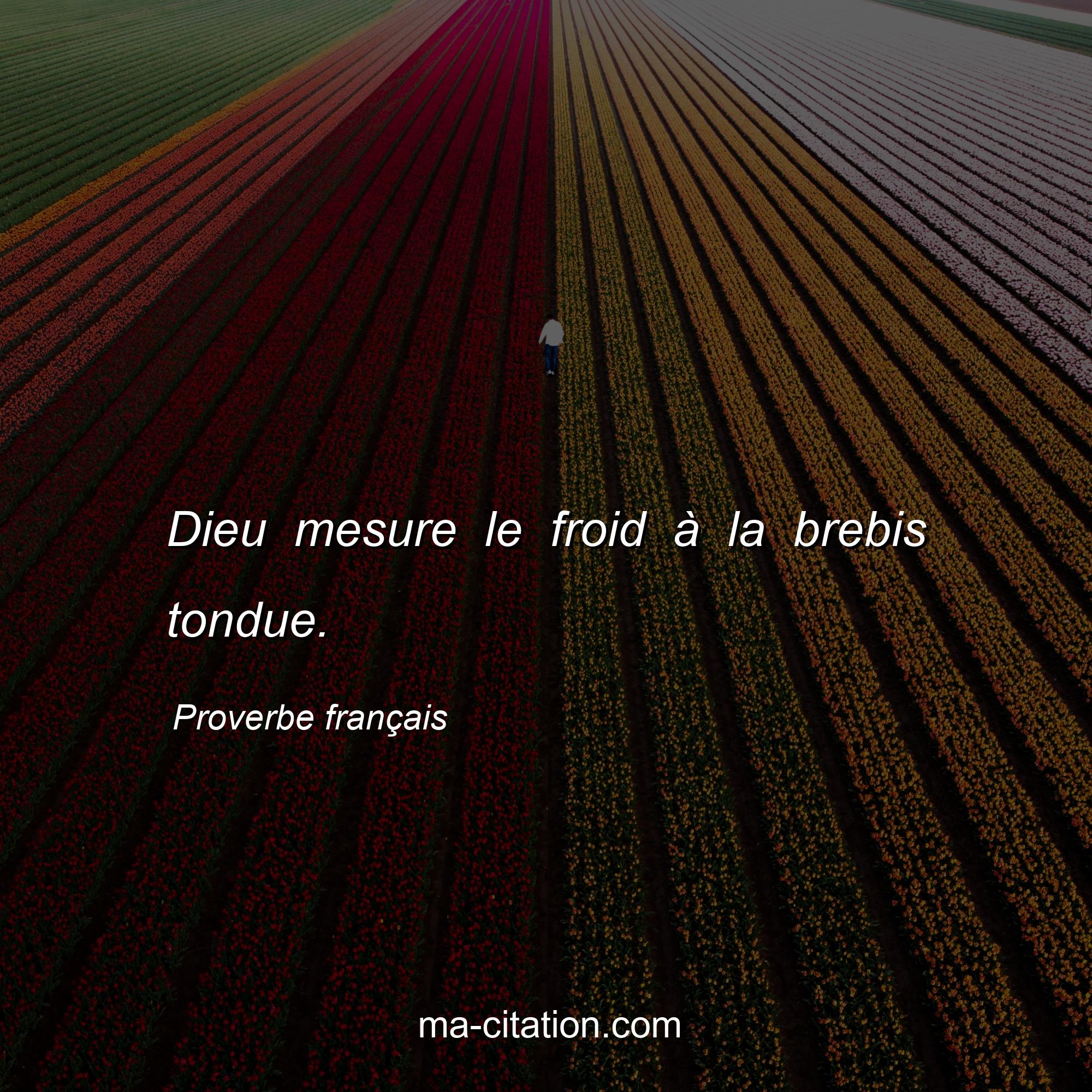 Proverbe français : Dieu mesure le froid à la brebis tondue.