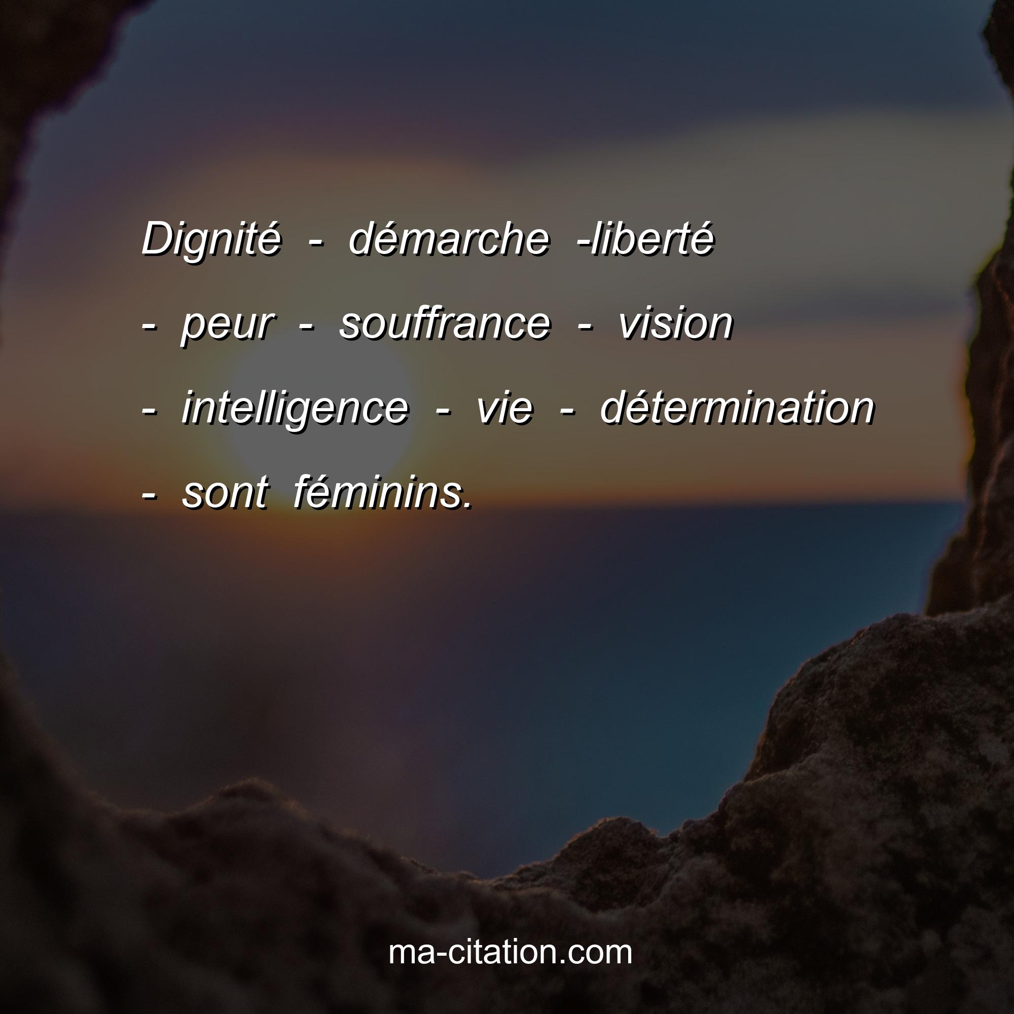 Ma-Citation.com : Dignité - démarche -liberté - peur - souffrance - vision - intelligence - vie - détermination - sont féminins.