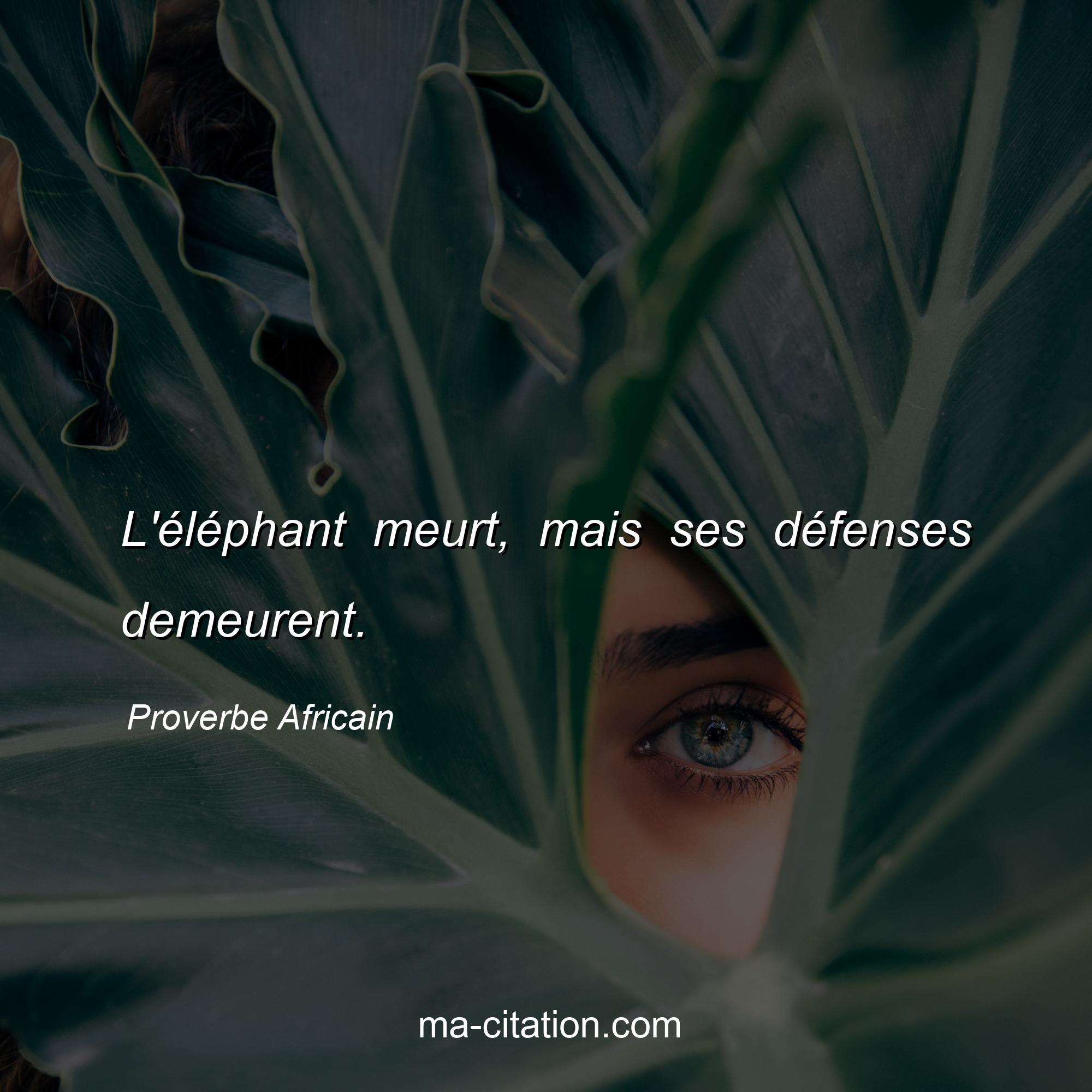 Proverbe Africain : L'éléphant meurt, mais ses défenses demeurent.
