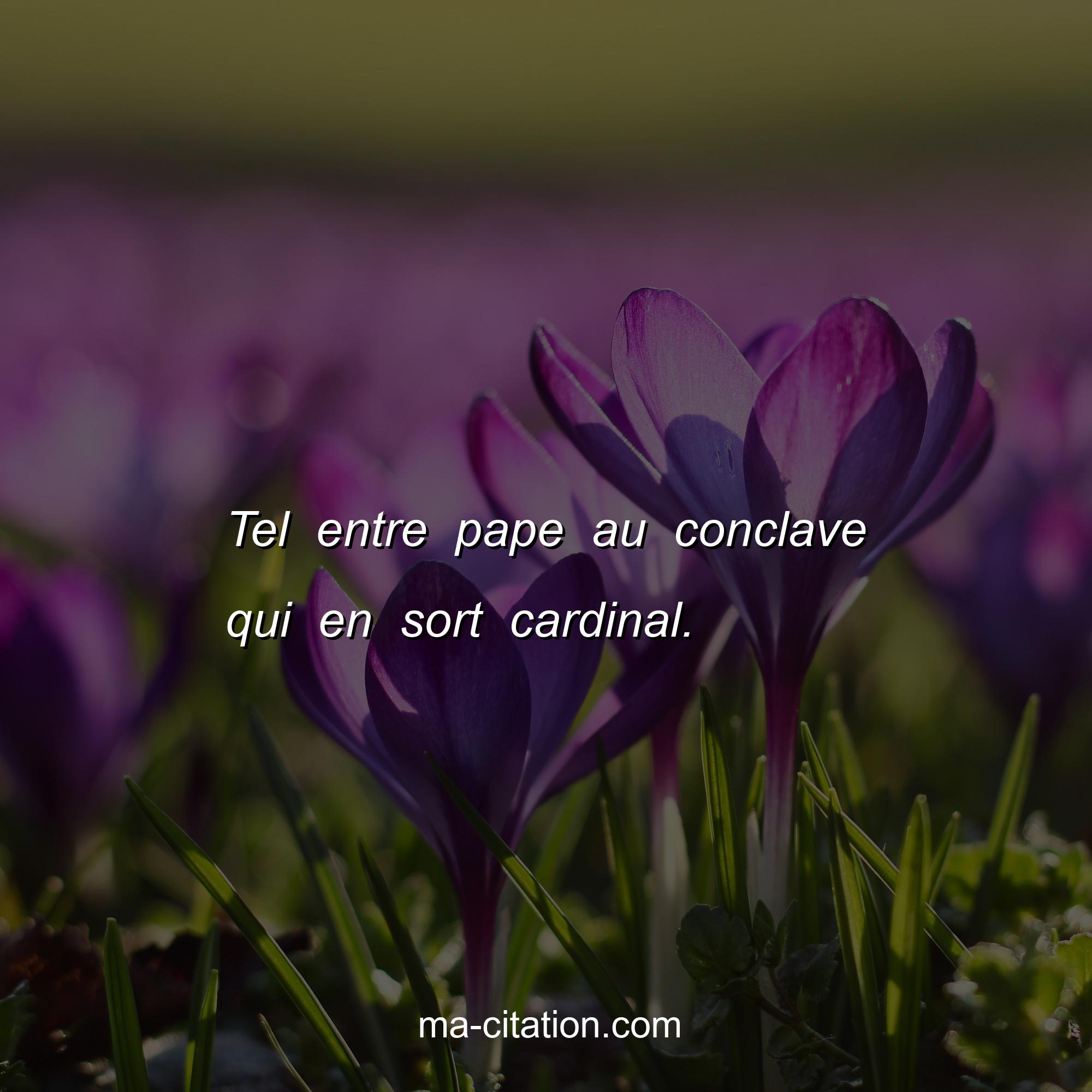 Ma-Citation.com : Tel entre pape au conclave qui en sort cardinal.