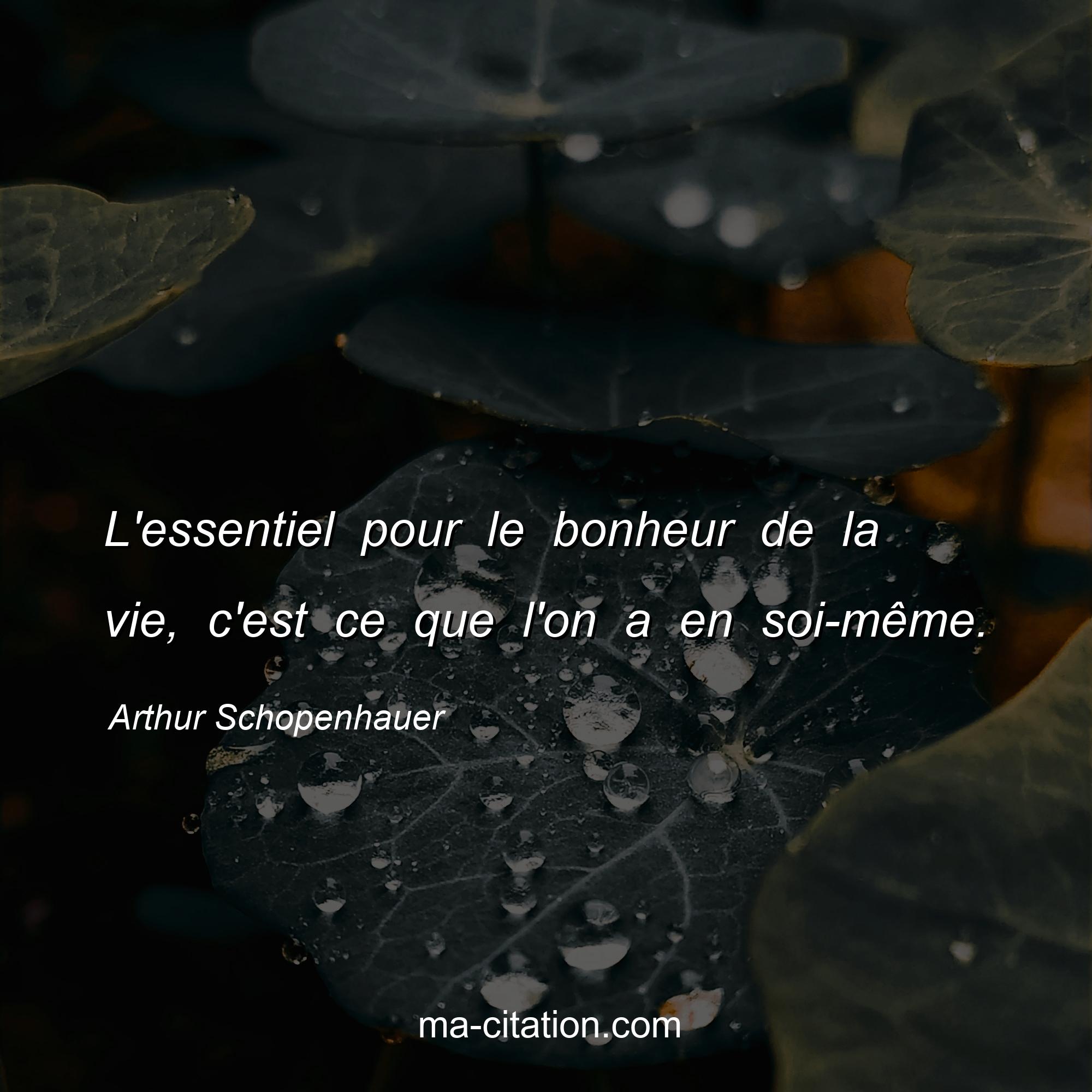 Arthur Schopenhauer : L'essentiel pour le bonheur de la vie, c'est ce que l'on a en soi-même.