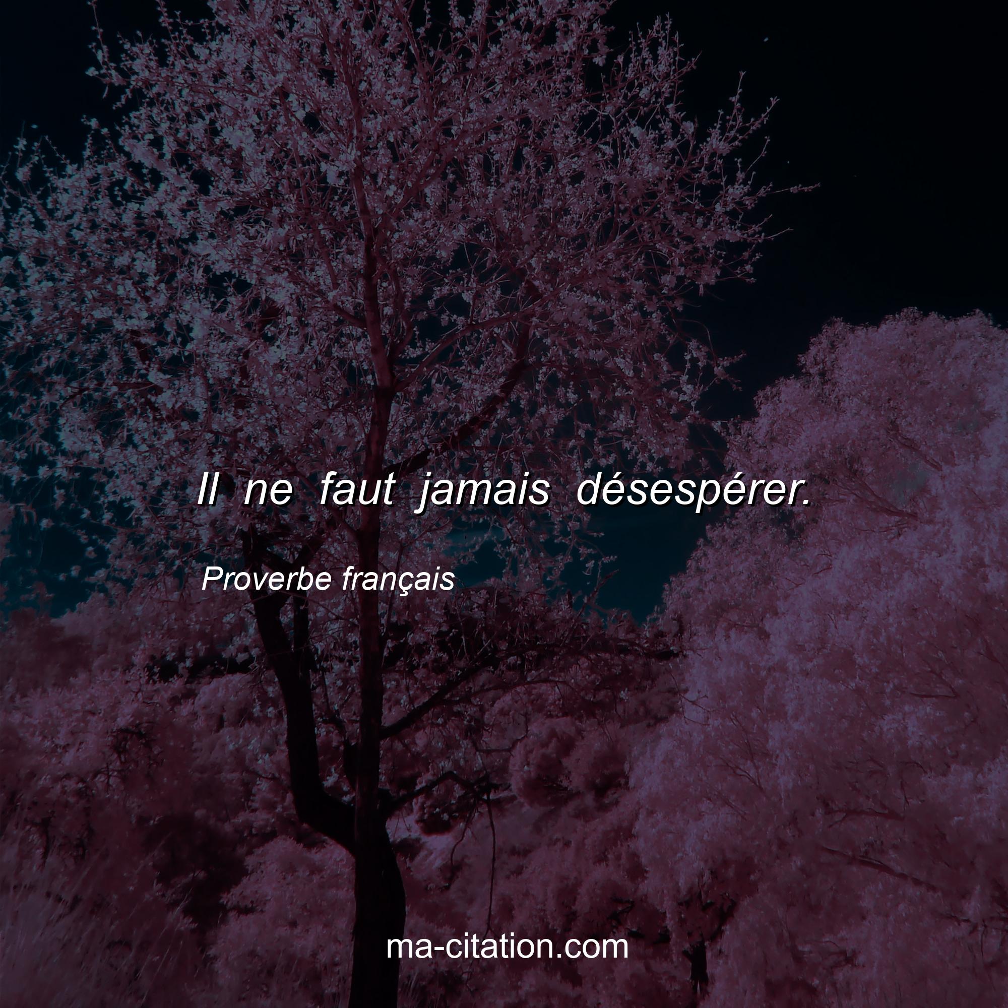 Proverbe français : Il ne faut jamais désespérer.