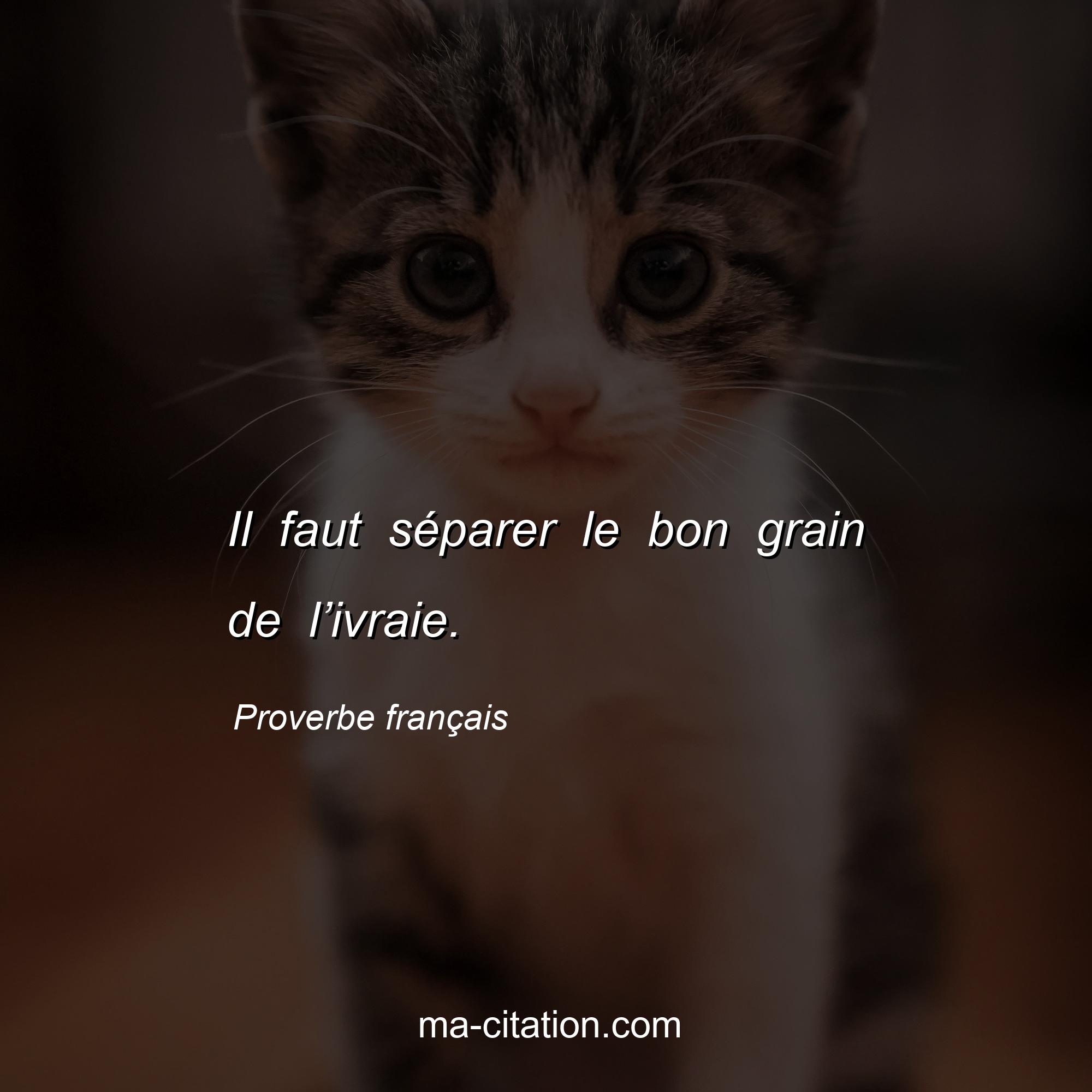 Proverbe français : Il faut séparer le bon grain de l’ivraie.