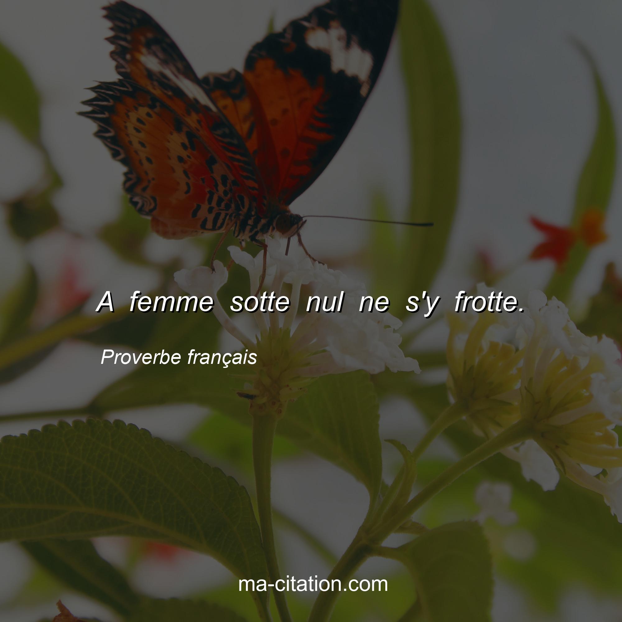 Proverbe français : A femme sotte nul ne s'y frotte.