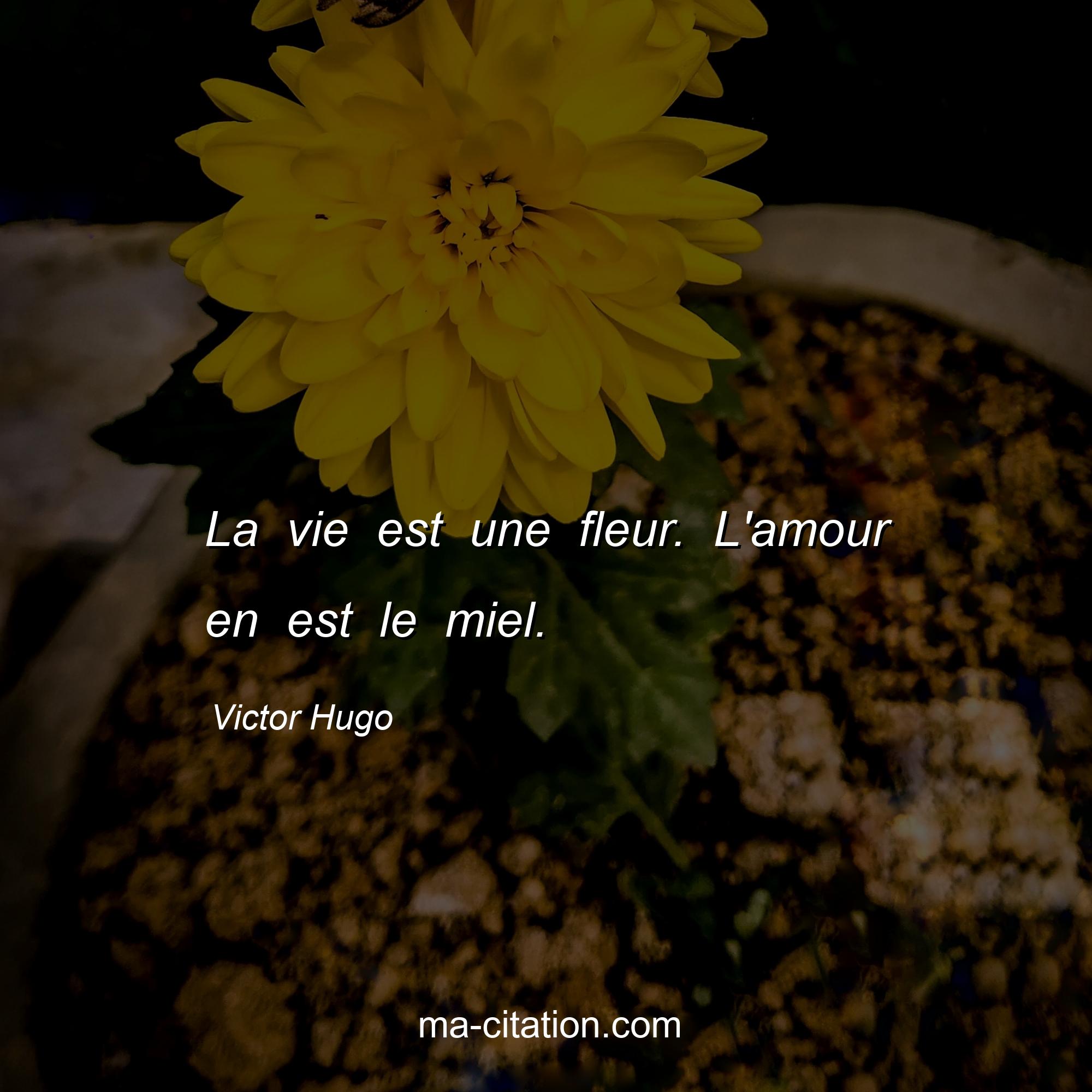 Victor Hugo : La vie est une fleur. L'amour en est le miel.