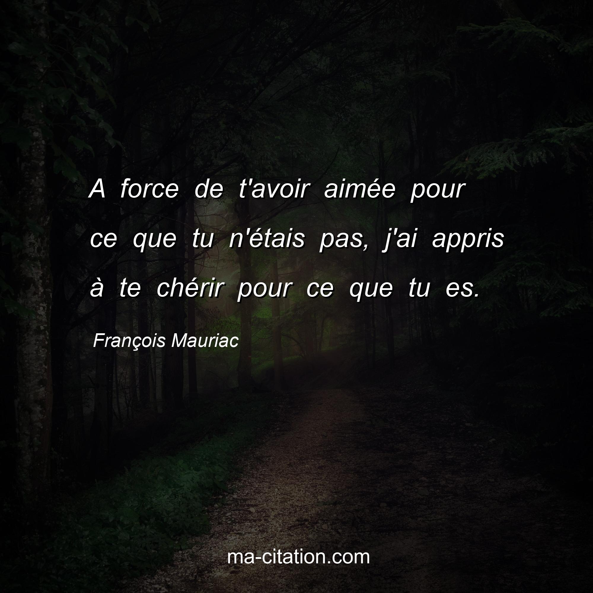 François Mauriac : A force de t'avoir aimée pour ce que tu n'étais pas, j'ai appris à te chérir pour ce que tu es.
