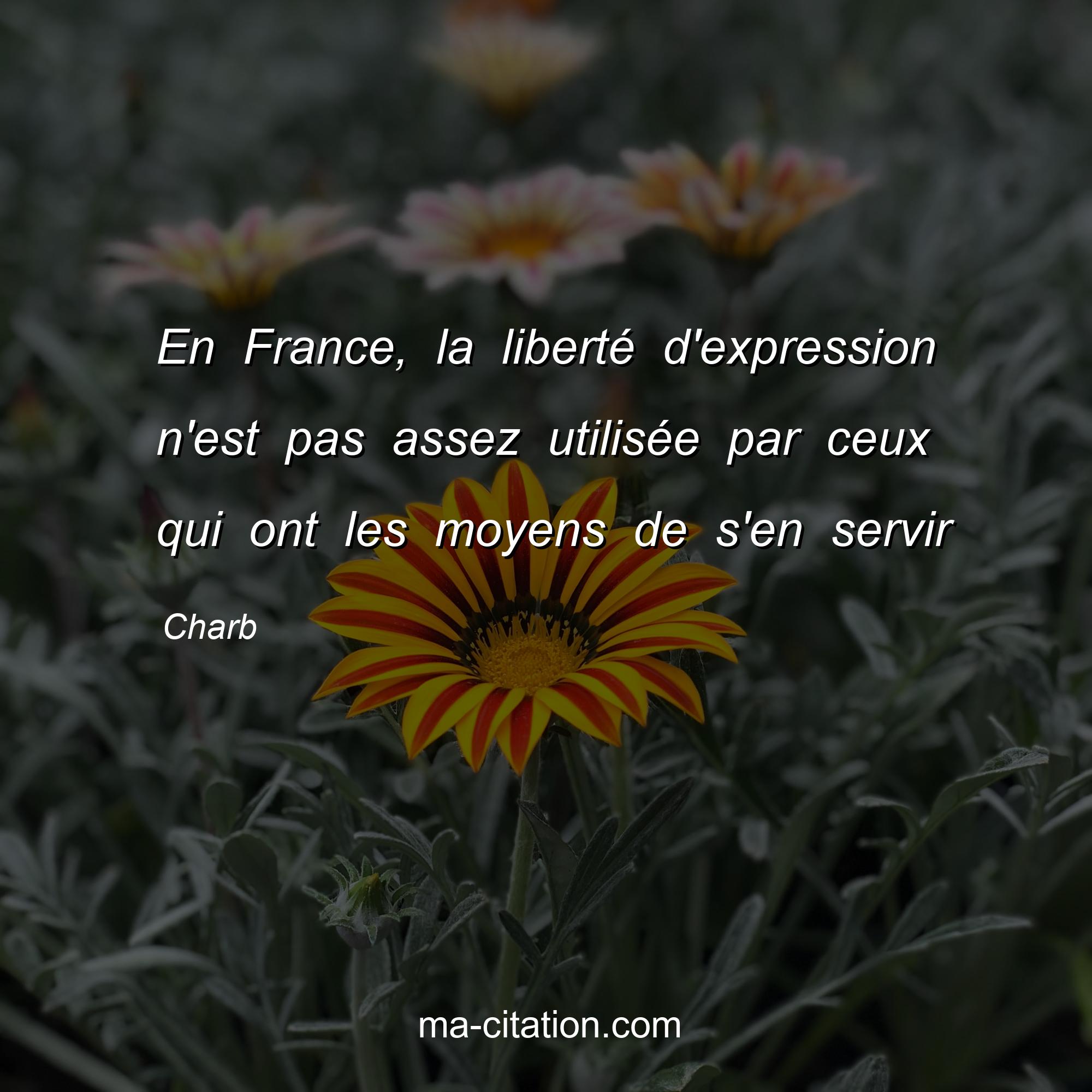 Charb : En France, la liberté d'expression n'est pas assez utilisée par ceux qui ont les moyens de s'en servir