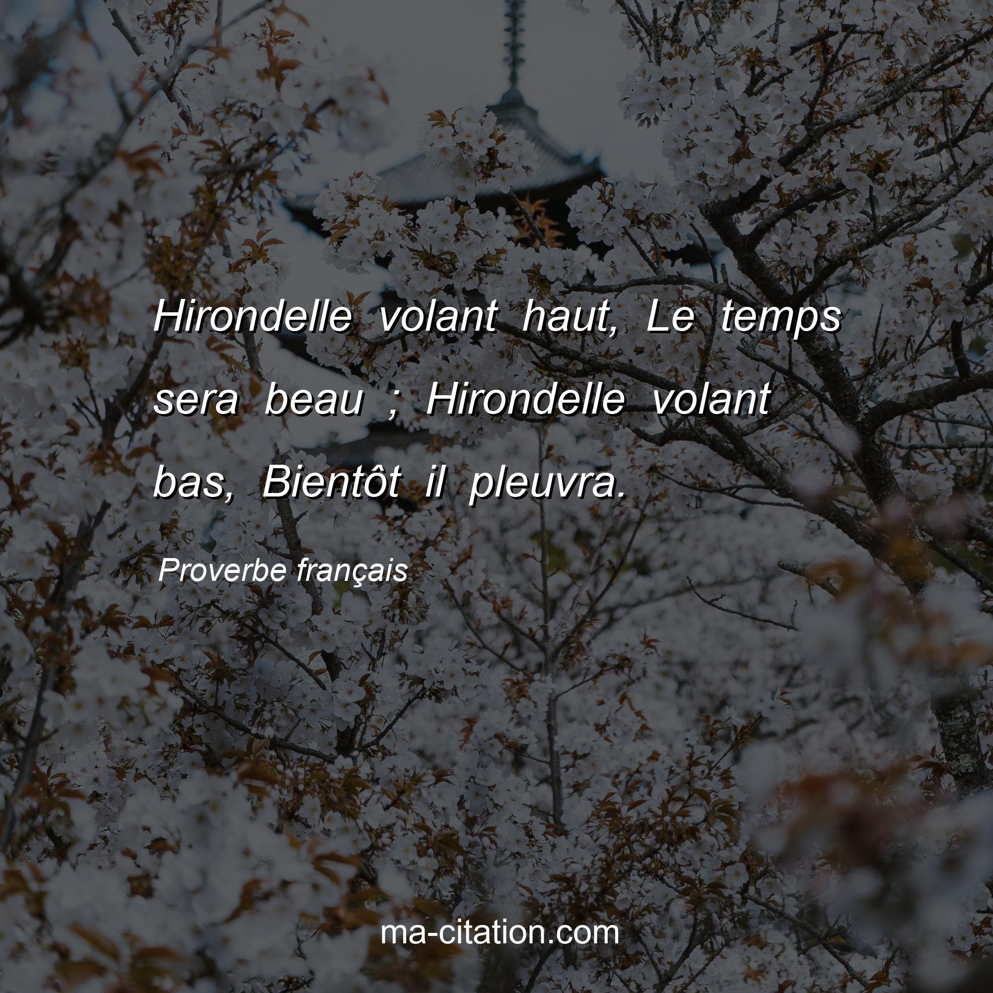 Proverbe français : Hirondelle volant haut, Le temps sera beau ; Hirondelle volant bas, Bientôt il pleuvra.