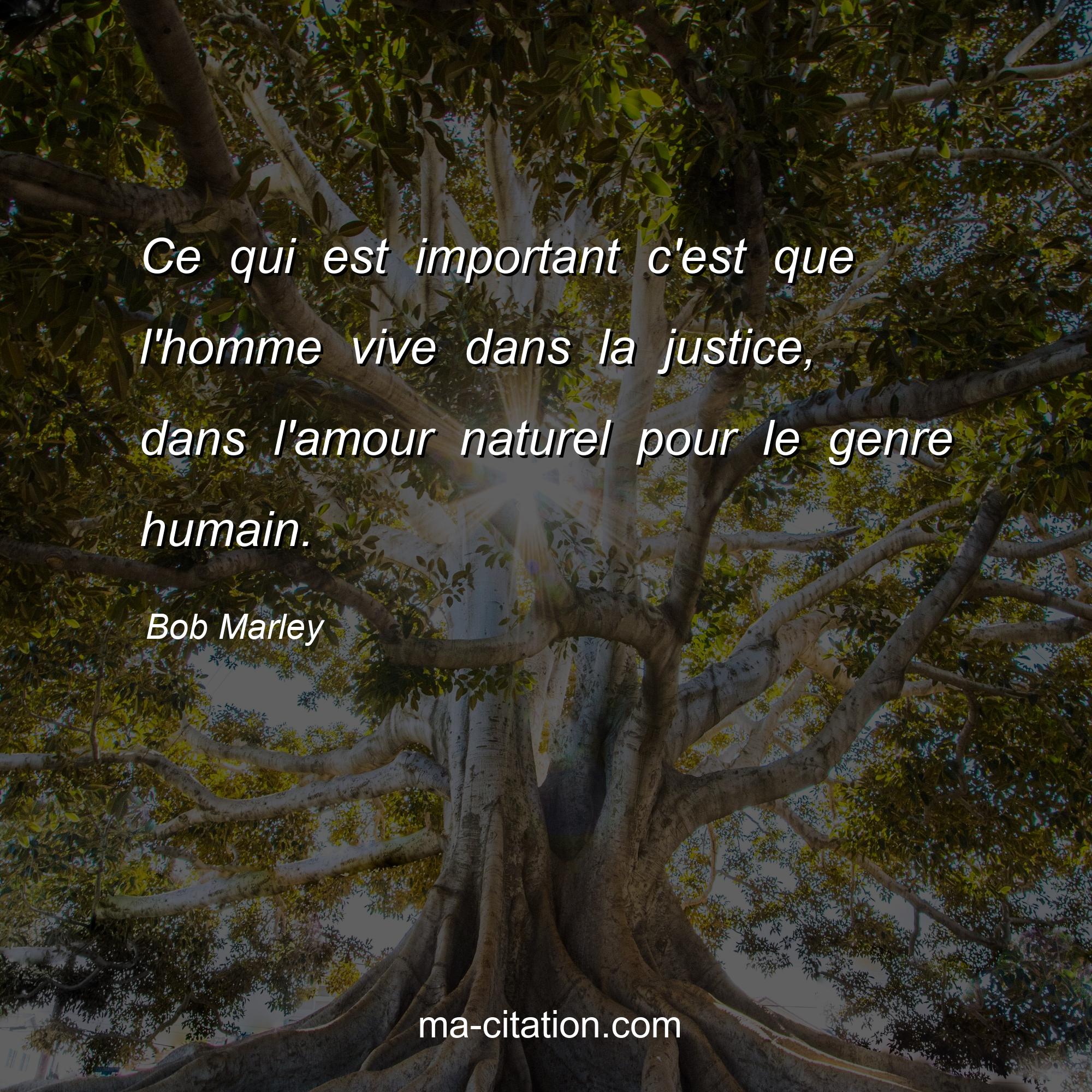 Bob Marley : Ce qui est important c'est que l'homme vive dans la justice, dans l'amour naturel pour le genre humain.