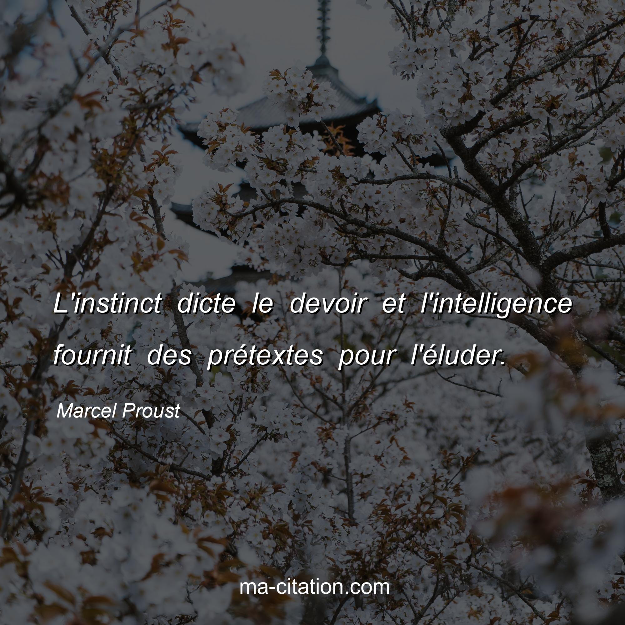 Marcel Proust : L'instinct dicte le devoir et l'intelligence fournit des prétextes pour l'éluder.