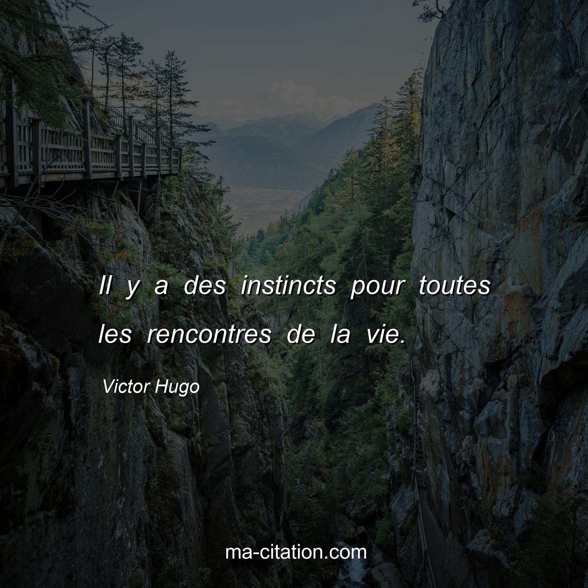 Victor Hugo : Il y a des instincts pour toutes les rencontres de la vie.