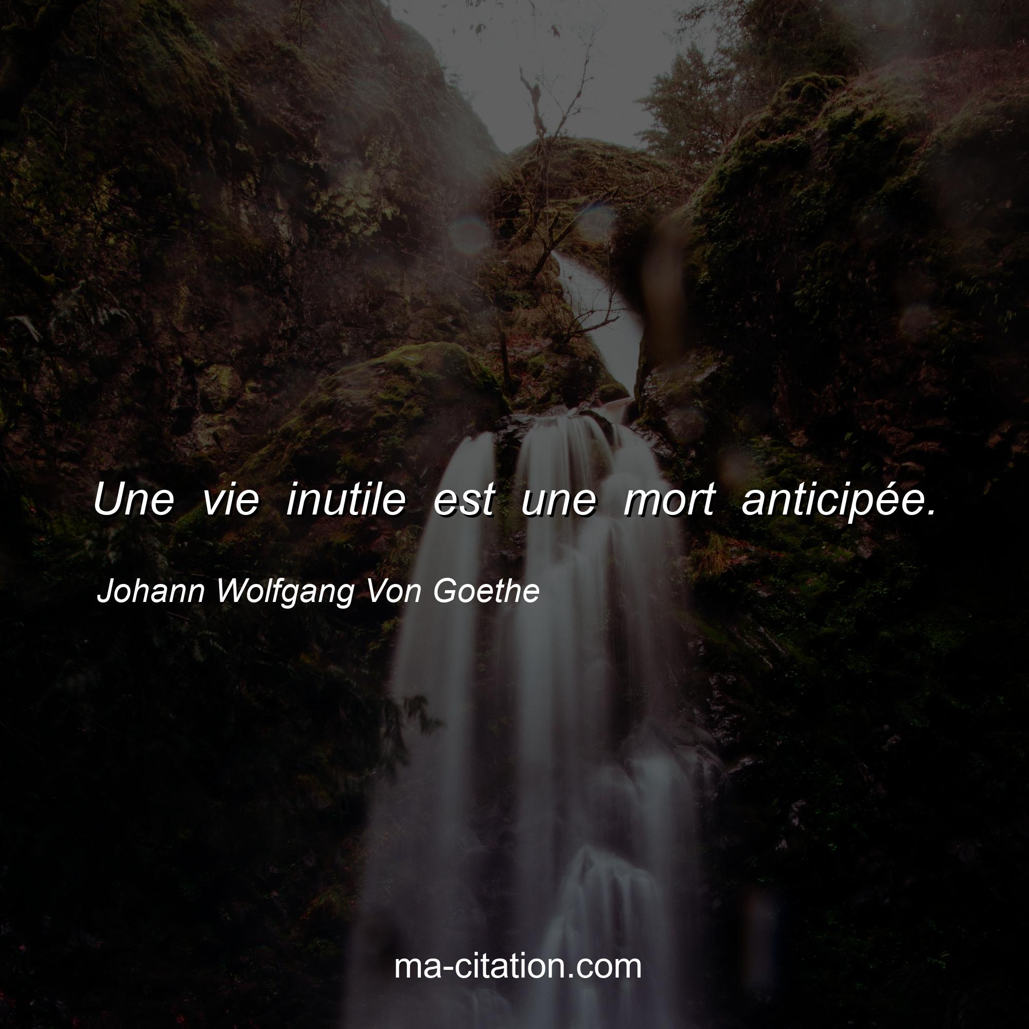 Johann Wolfgang Von Goethe : Une vie inutile est une mort anticipée.