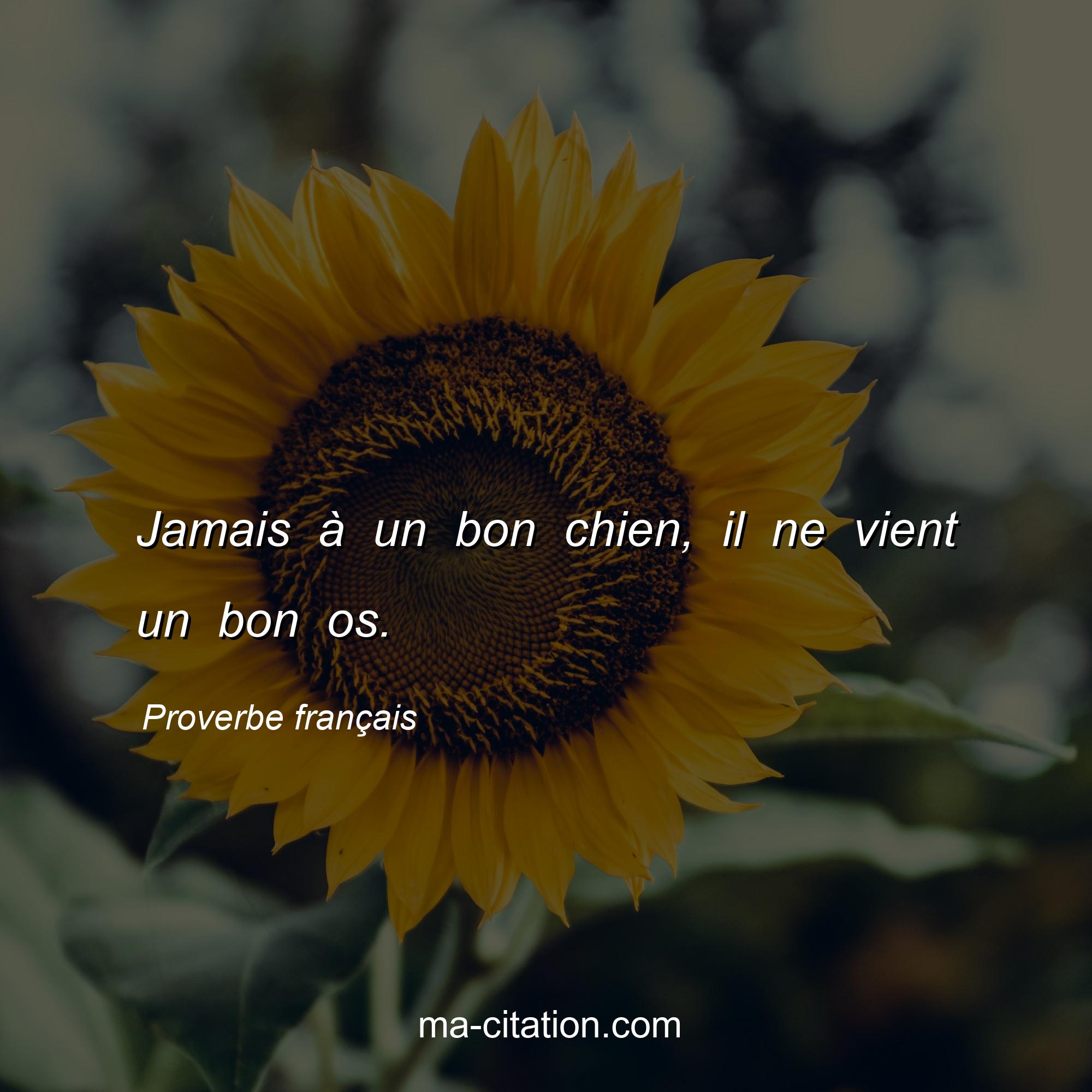 Proverbe franÃ§ais : Jamais Ã  un bon chien, il ne vient un bon os.