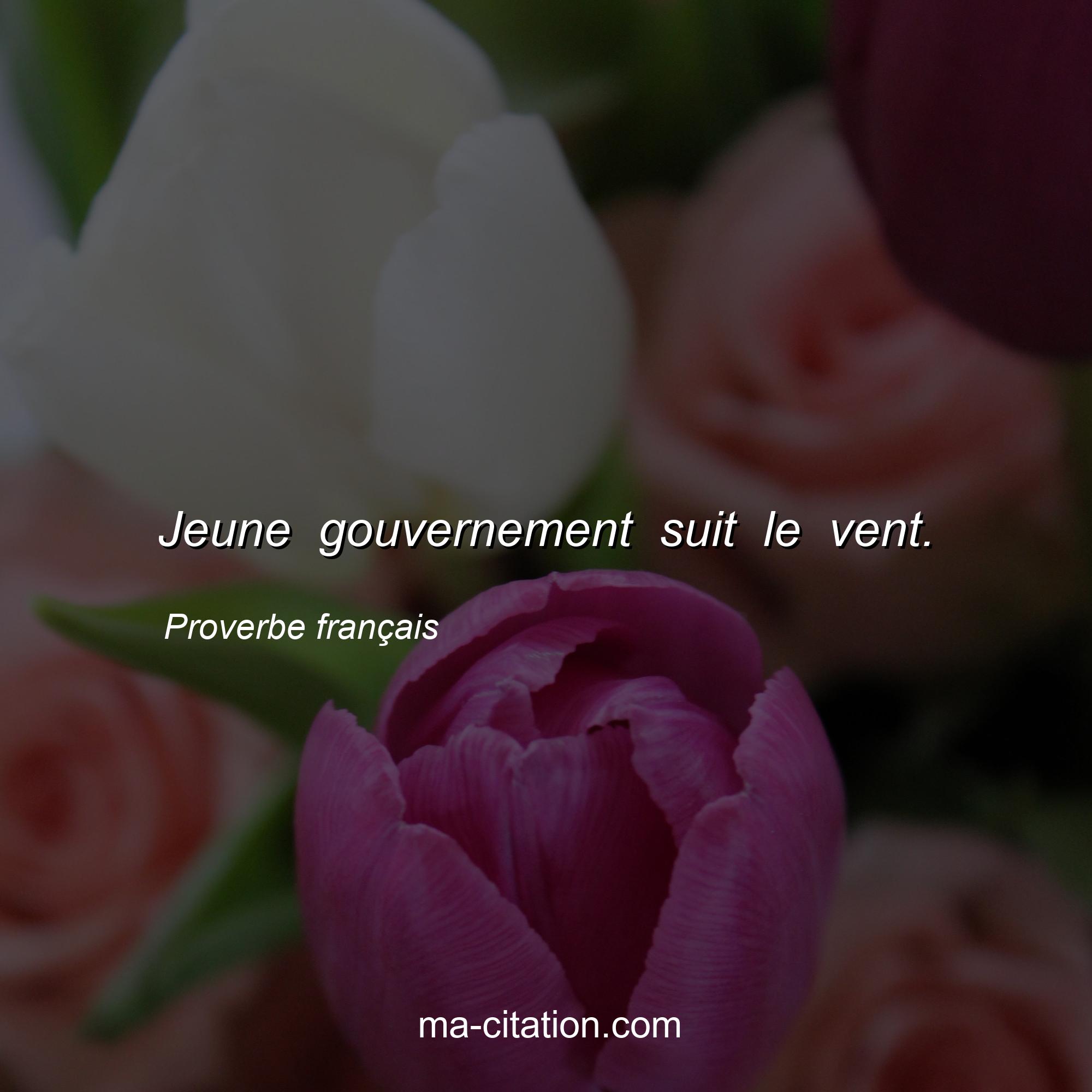 Proverbe français : Jeune gouvernement suit le vent.