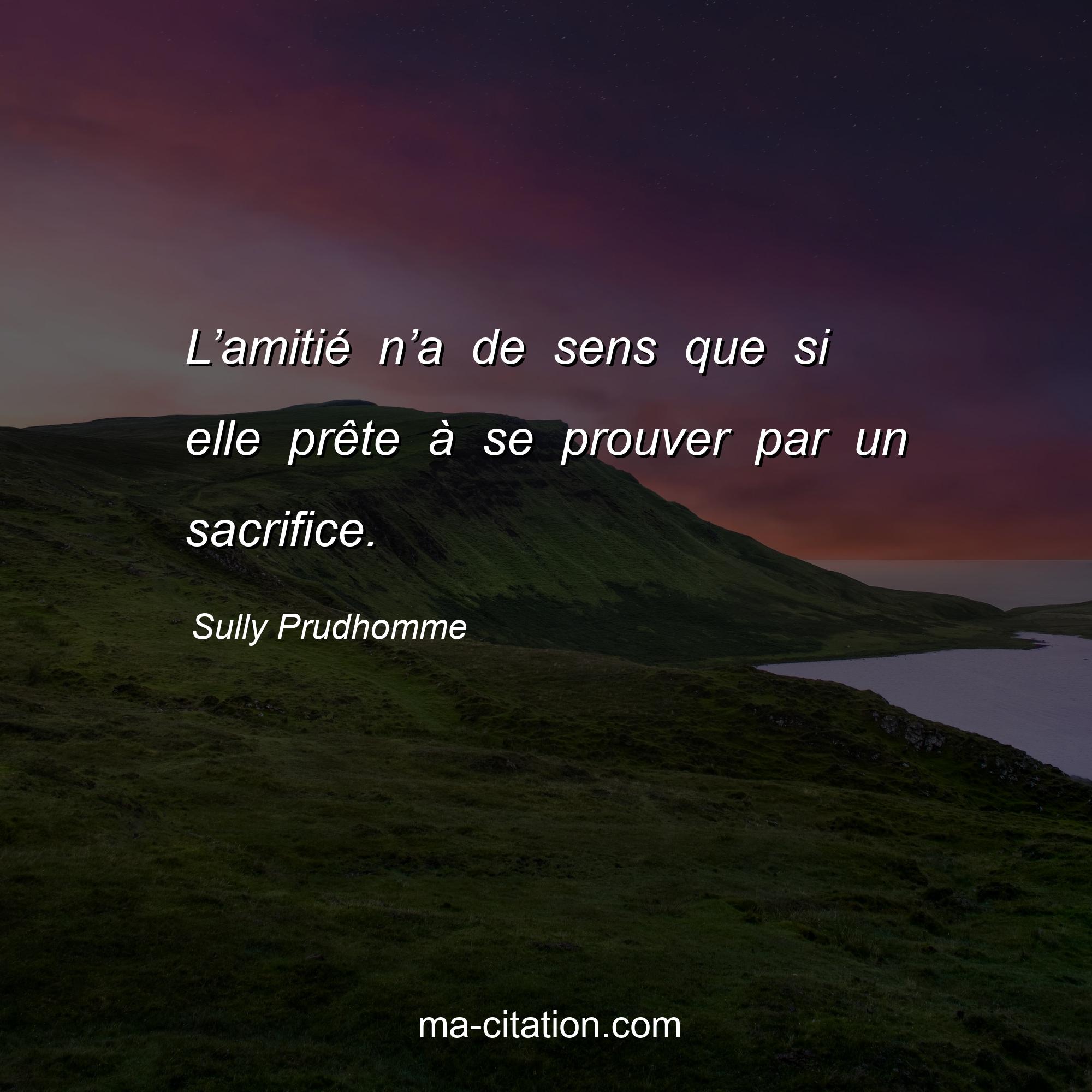 Sully Prudhomme : L’amitié n’a de sens que si elle prête à se prouver par un sacrifice.