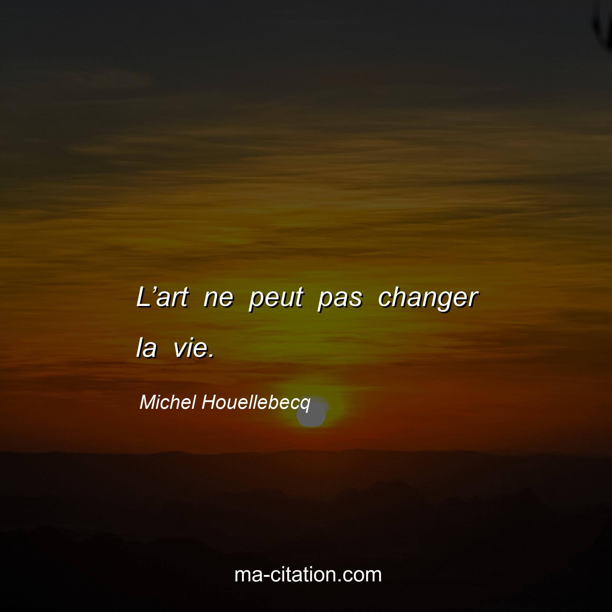 Michel Houellebecq : L’art ne peut pas changer la vie.