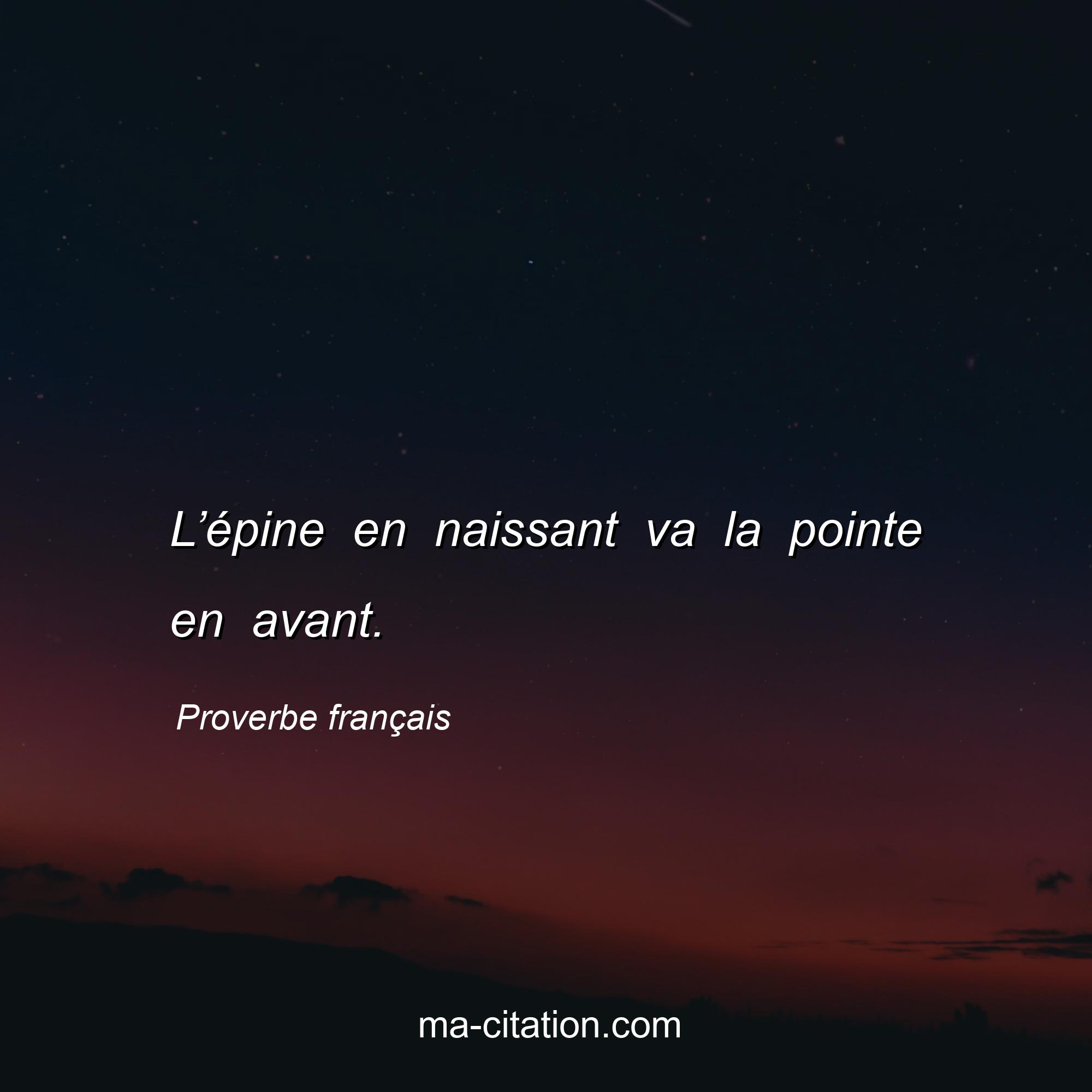 Proverbe français : L’épine en naissant va la pointe en avant.