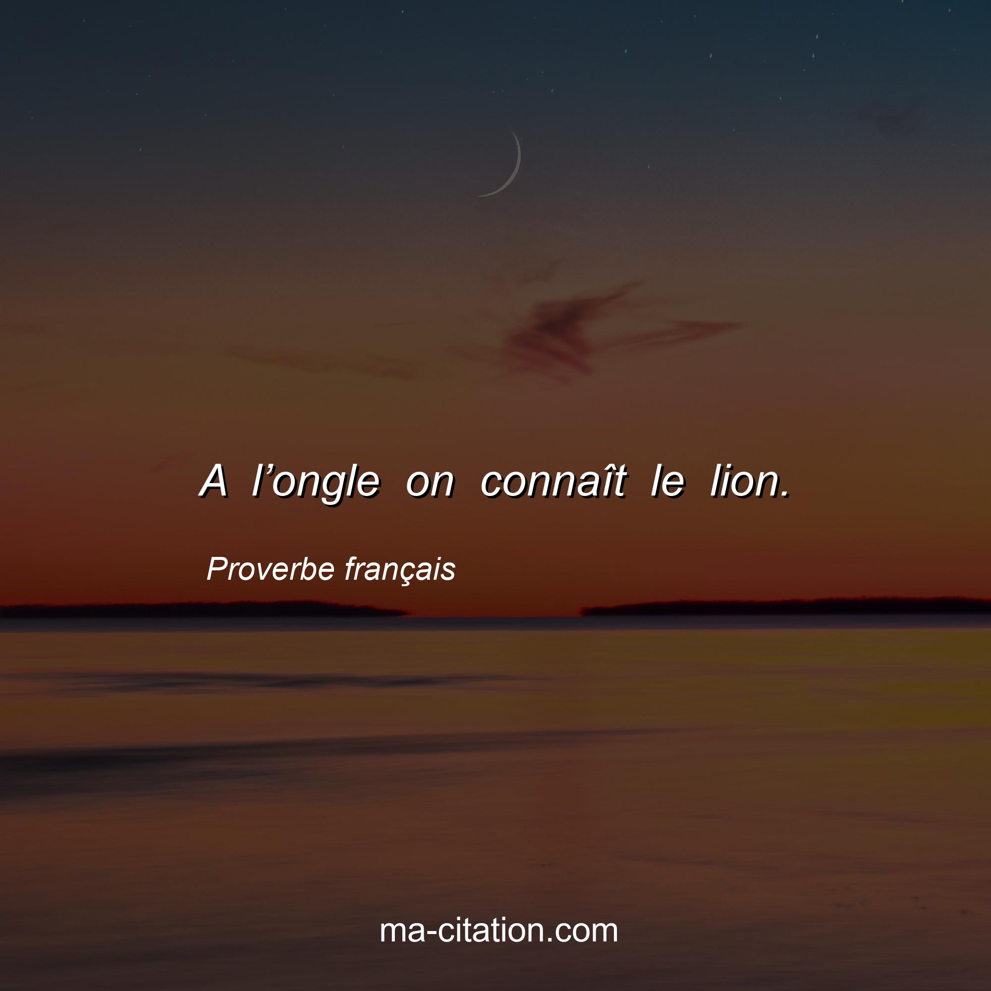 Proverbe français : A l’ongle on connaît le lion.
