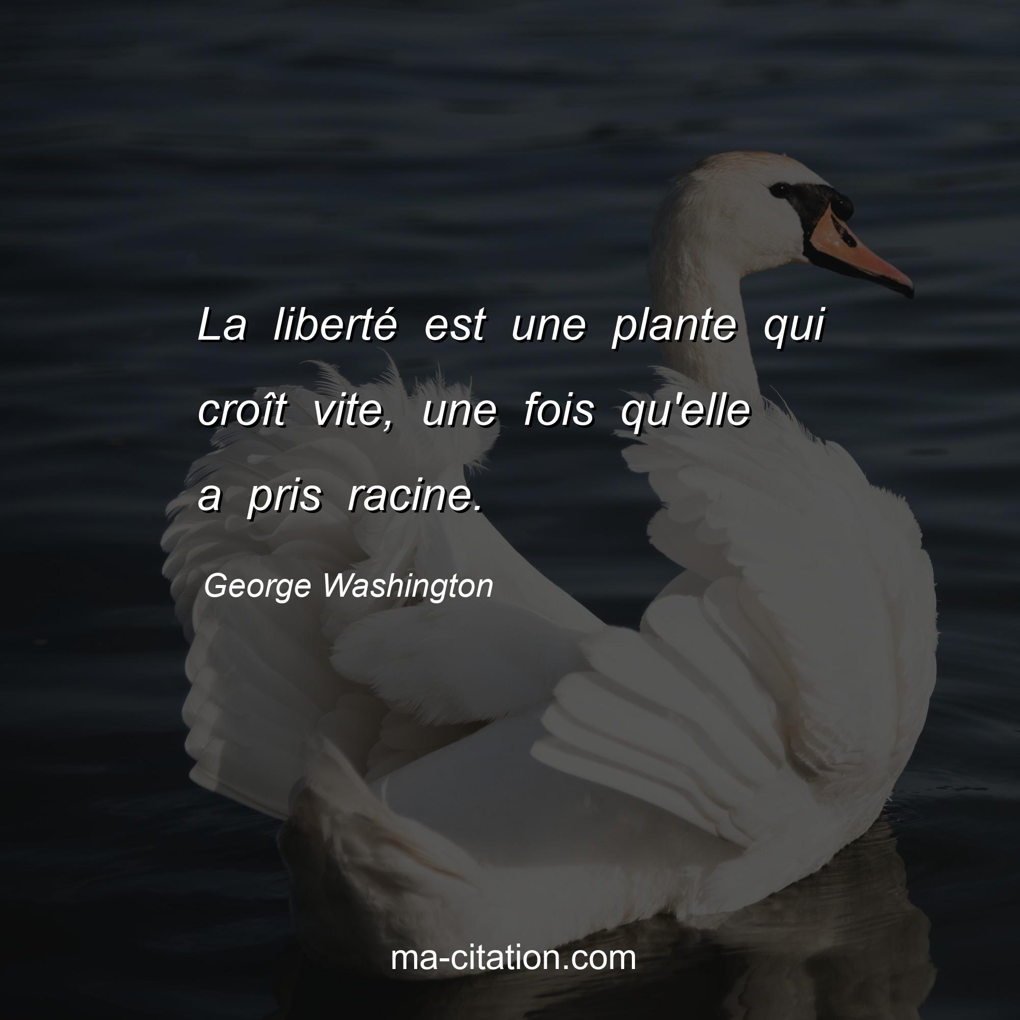 George Washington : La liberté est une plante qui croît vite, une fois qu'elle a pris racine.
