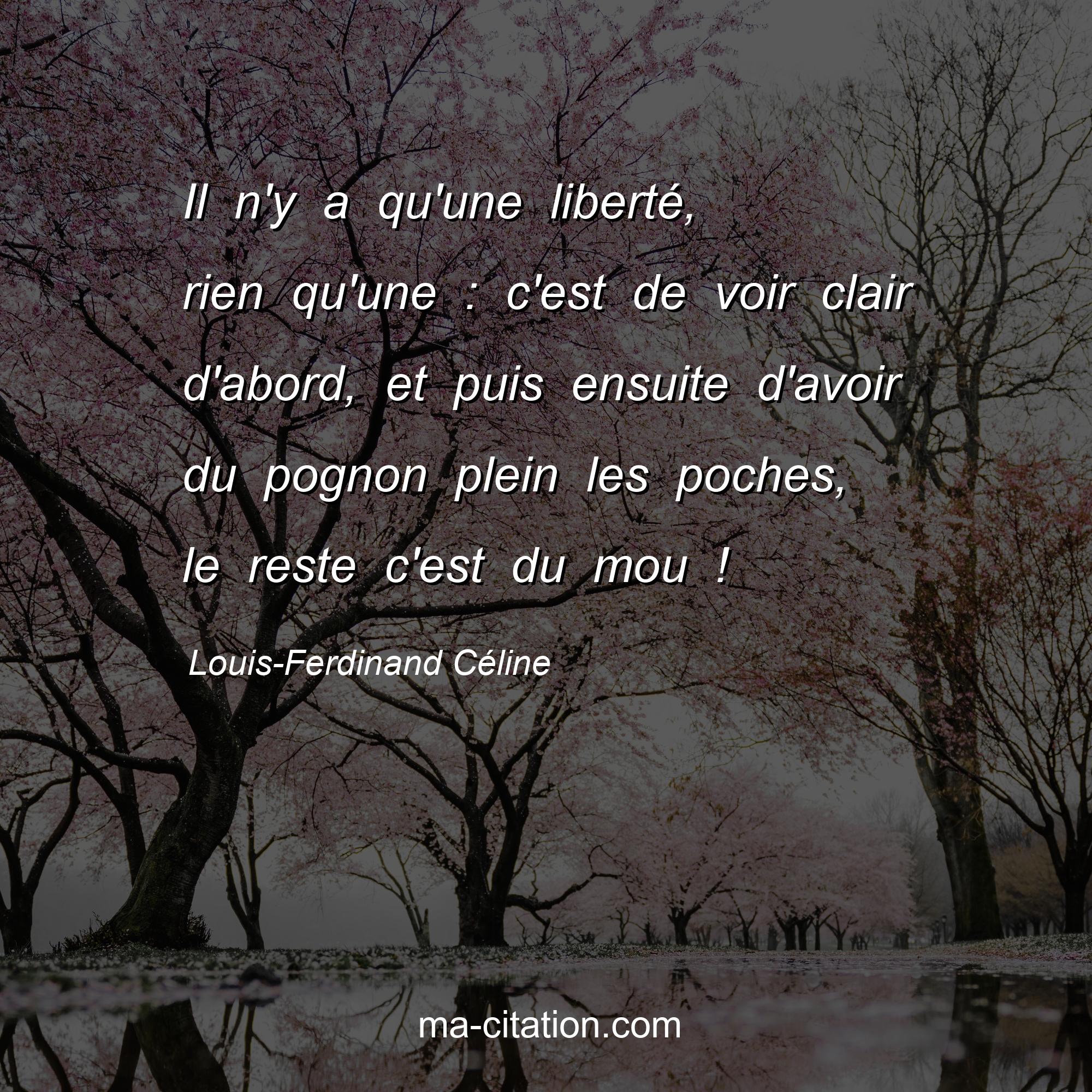 Louis-Ferdinand Céline : Il n'y a qu'une liberté, rien qu'une : c'est de voir clair d'abord, et puis ensuite d'avoir du pognon plein les poches, le reste c'est du mou !