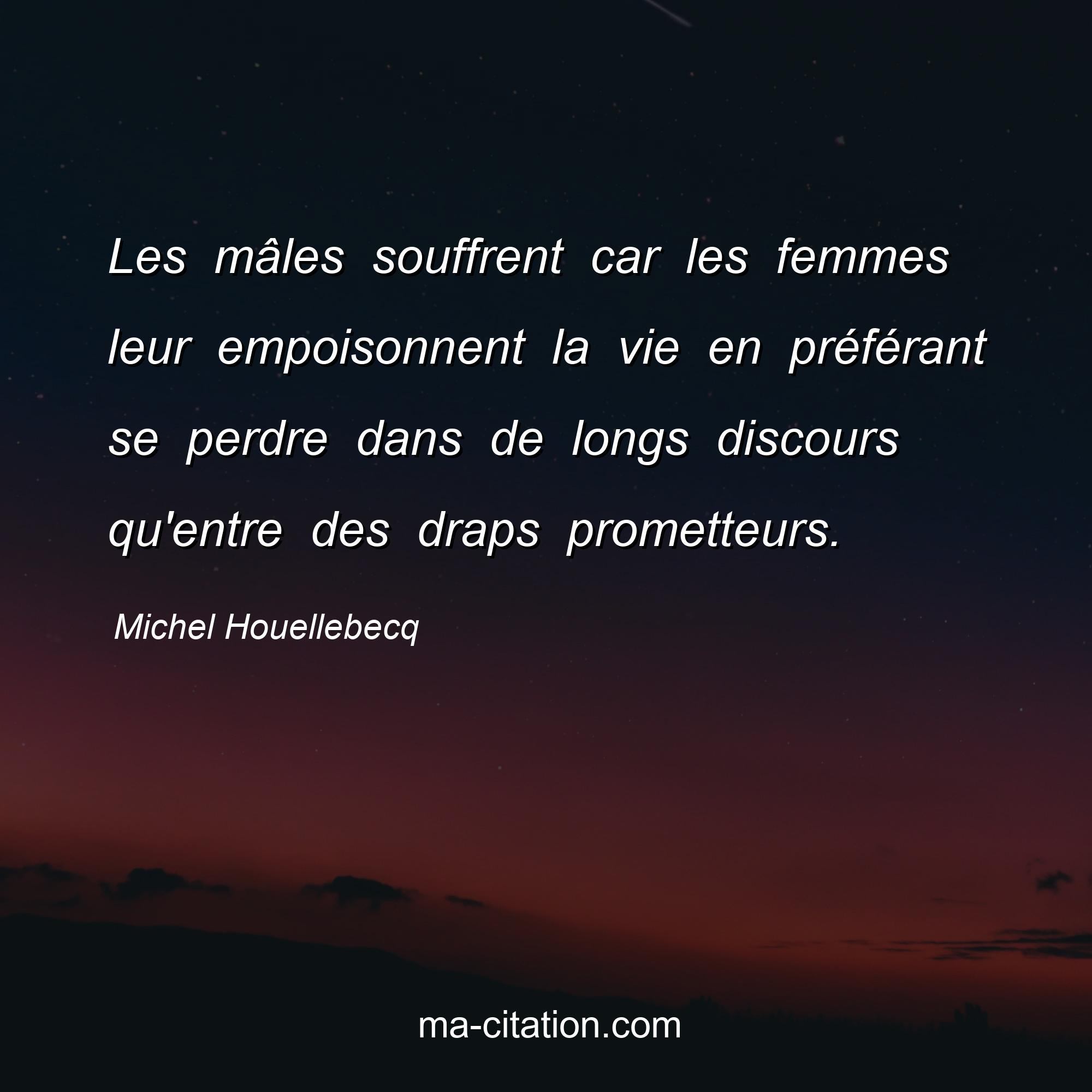 Michel Houellebecq : Les mâles souffrent car les femmes leur empoisonnent la vie en préférant se perdre dans de longs discours qu'entre des draps prometteurs.