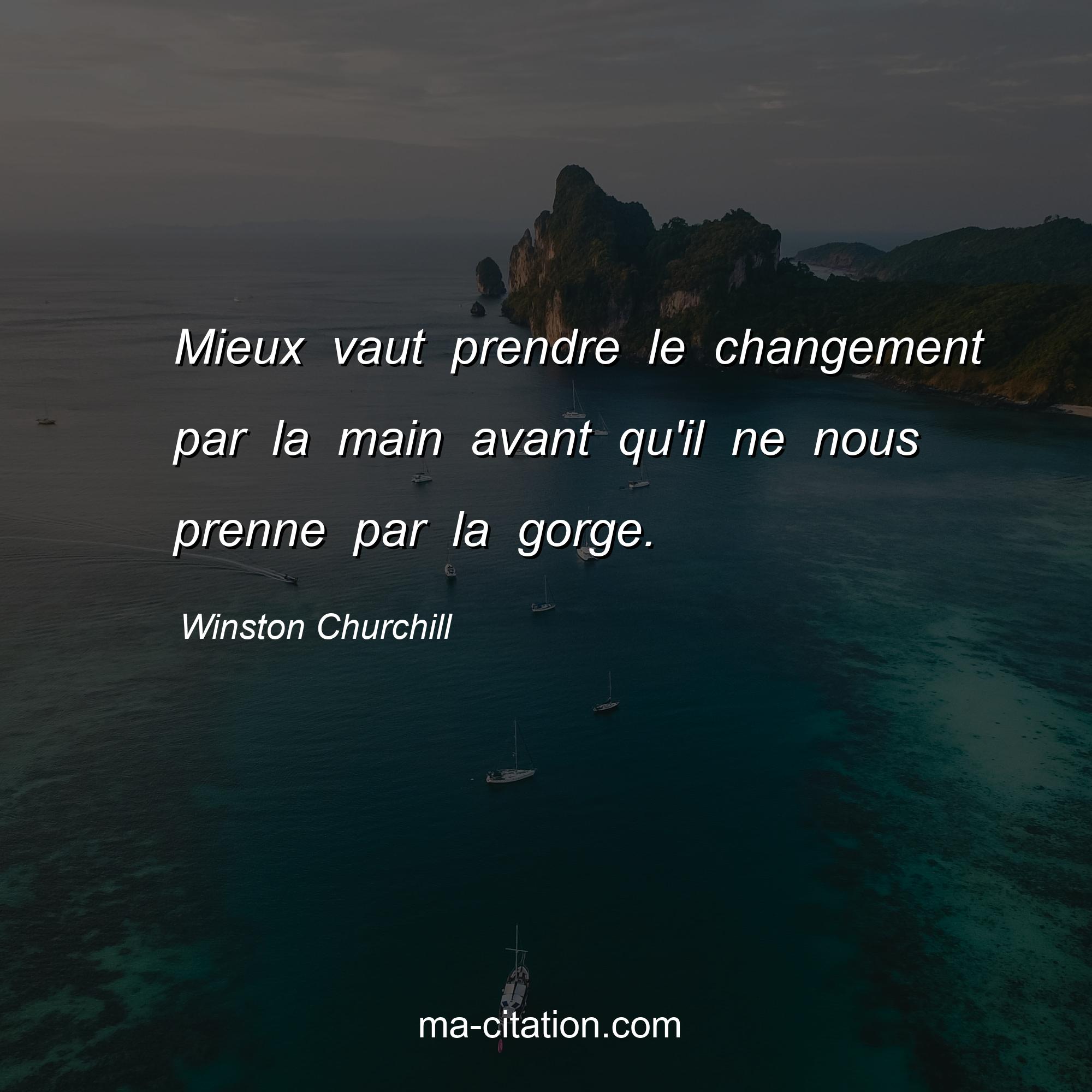 Winston Churchill : Mieux vaut prendre le changement par la main avant qu'il ne nous prenne par la gorge. 