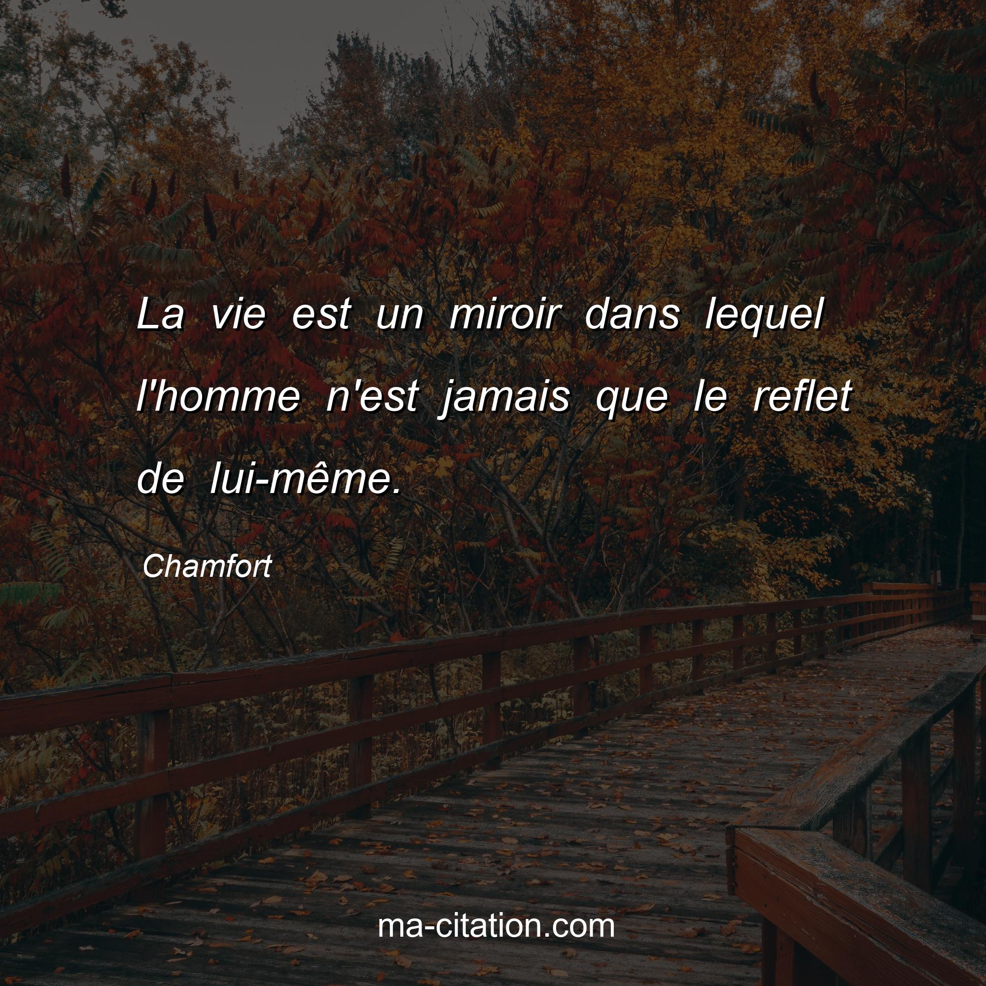 Chamfort : La vie est un miroir dans lequel l'homme n'est jamais que le reflet de lui-même.